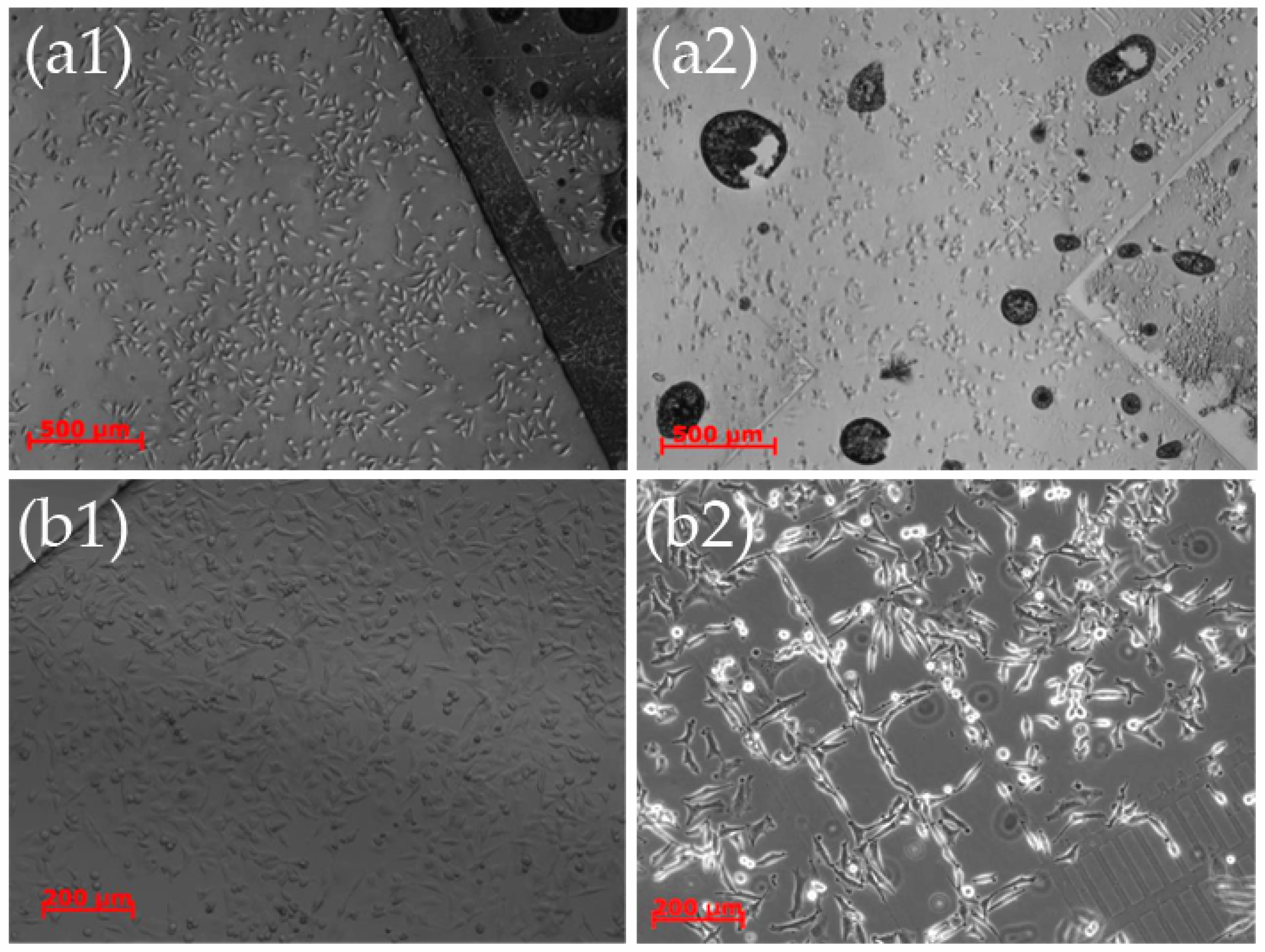 Materials 09 00256 g009
