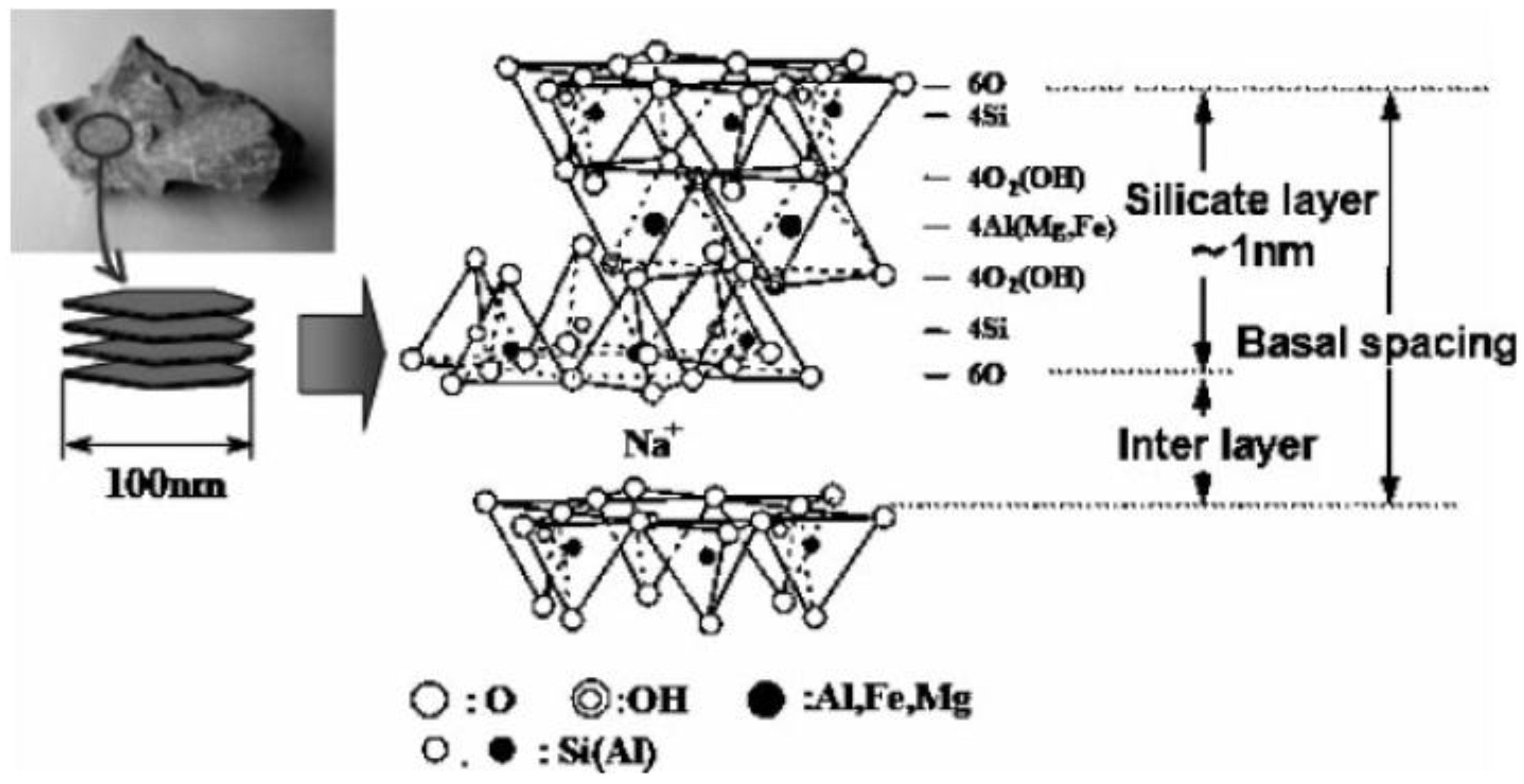Polymer Nanocomposites—A Comparison between Carbon Nanotubes