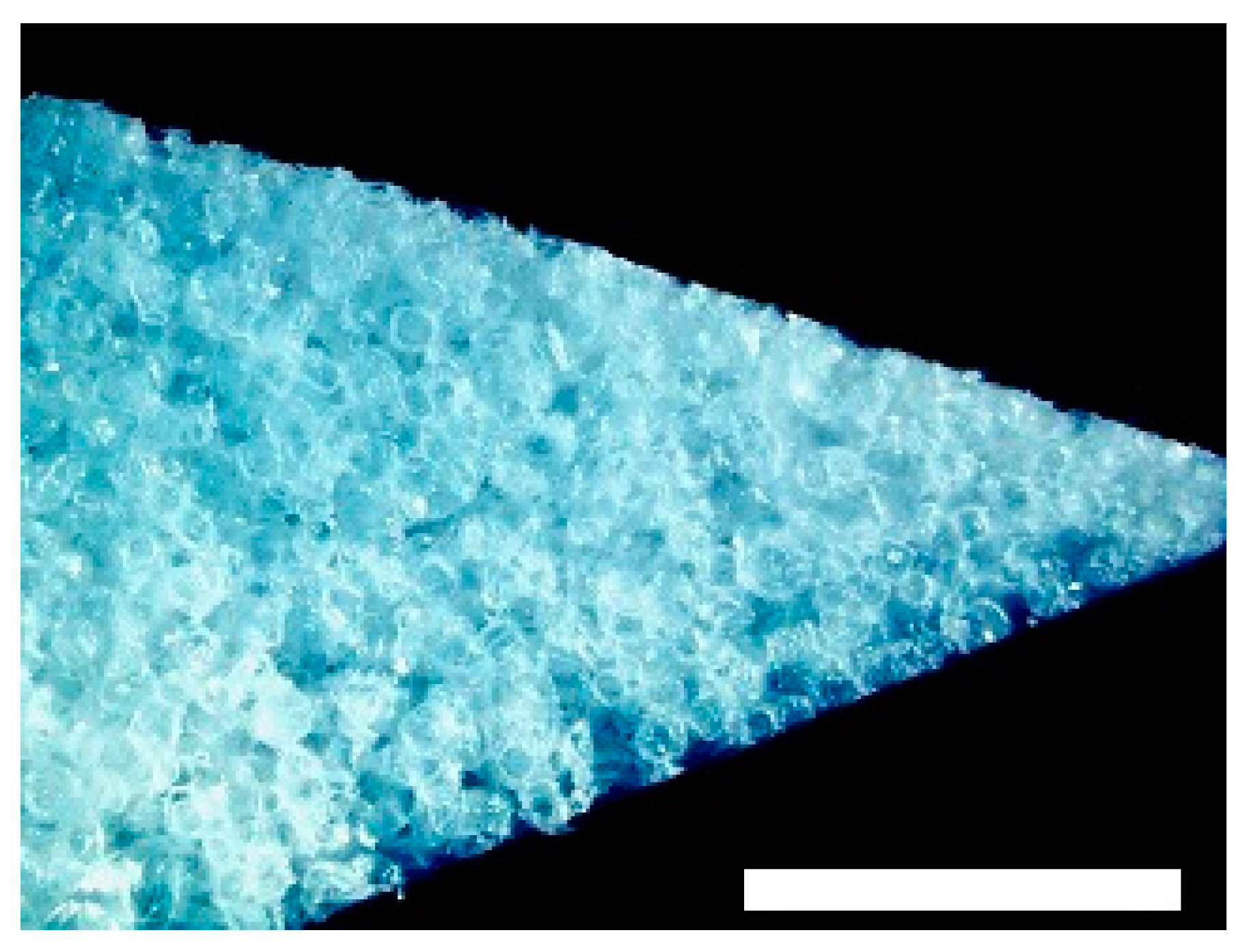 Materials 09 00276 g001 1024