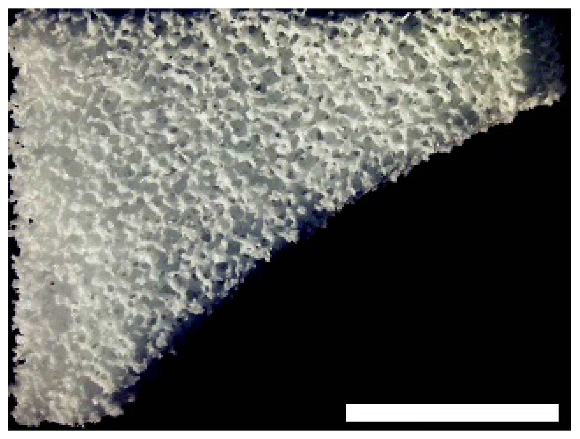 Materials 09 00276 g002 1024