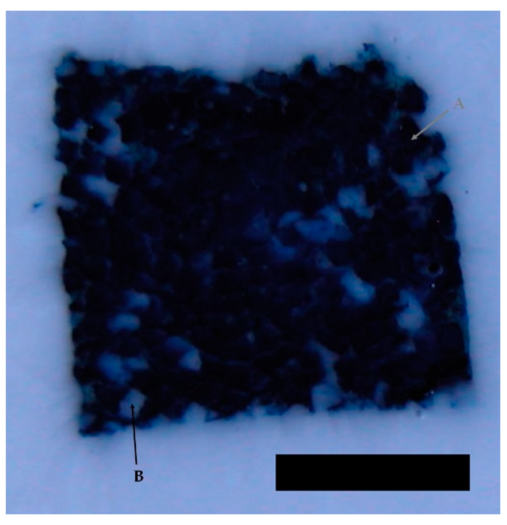 Materials 09 00276 g003 1024