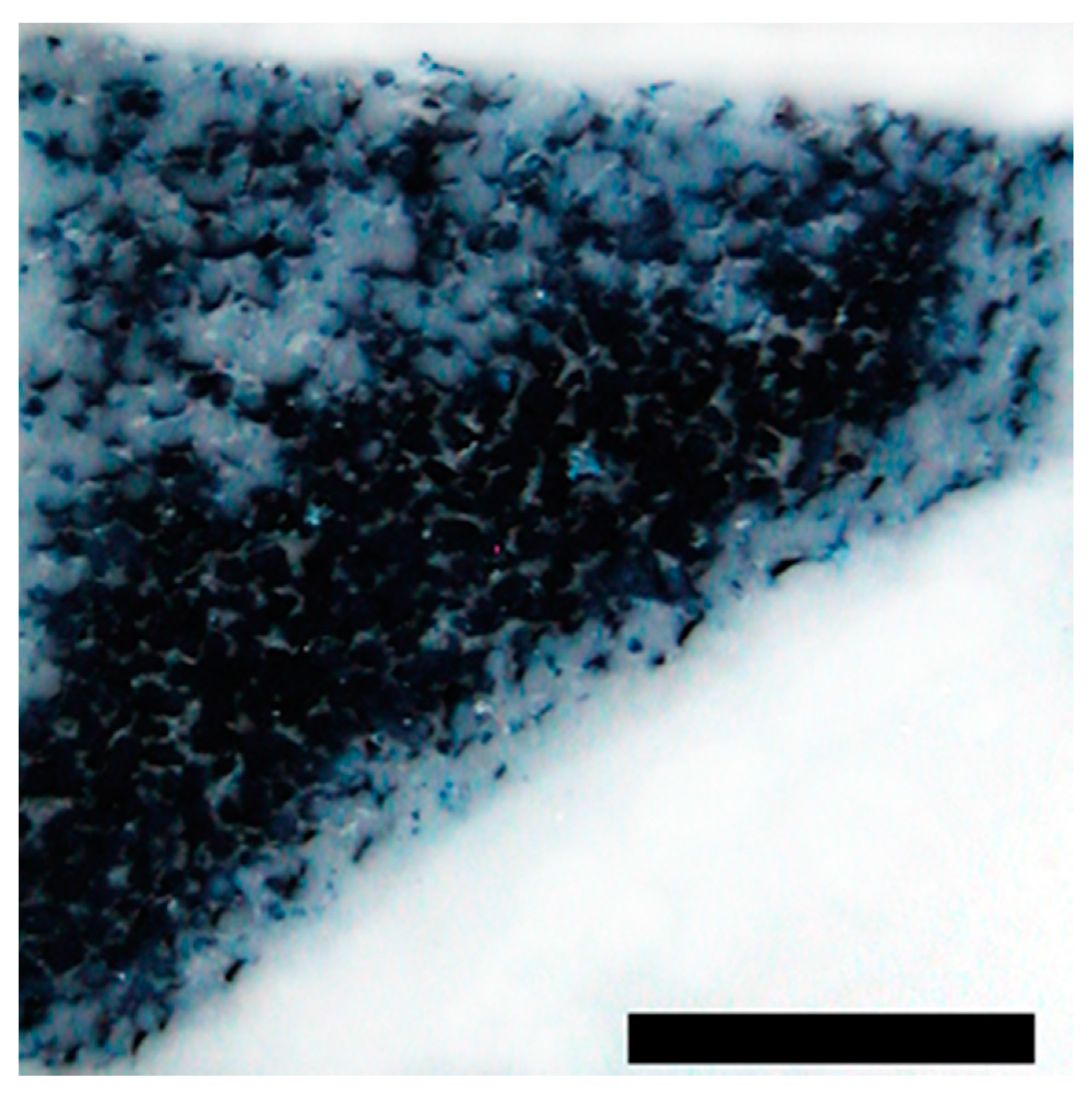 Materials 09 00276 g004 1024