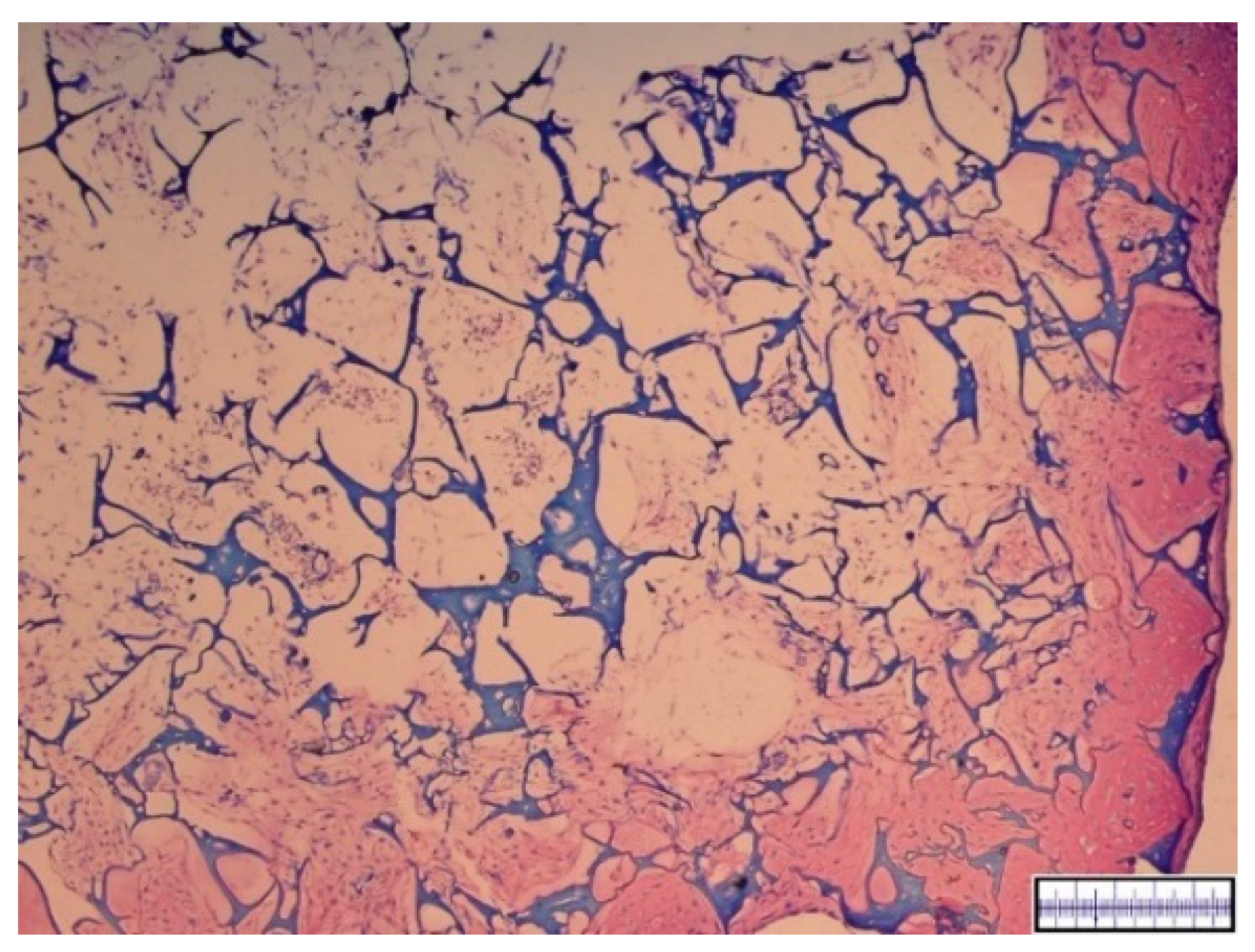 Materials 09 00276 g005 1024