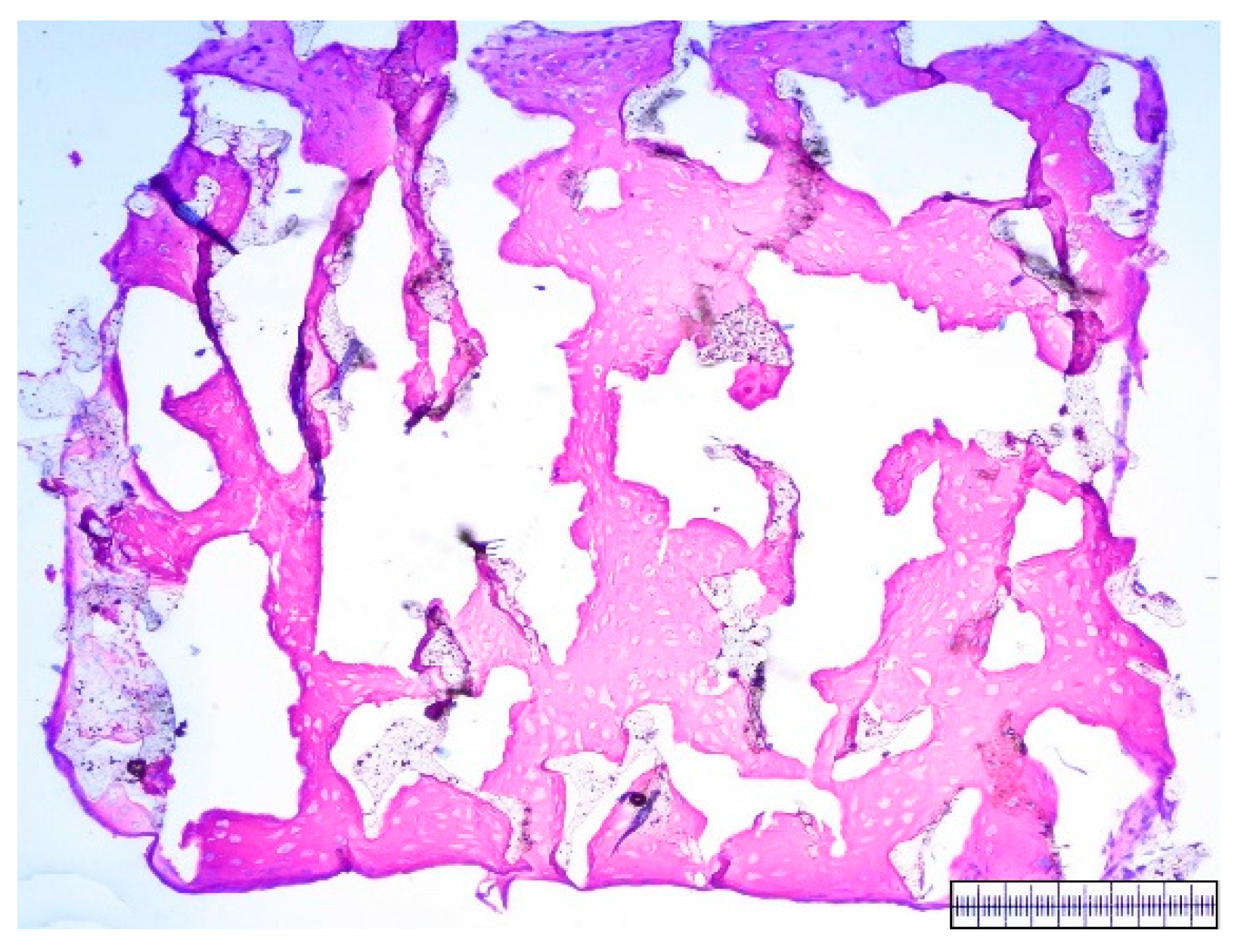 Materials 09 00276 g006 1024