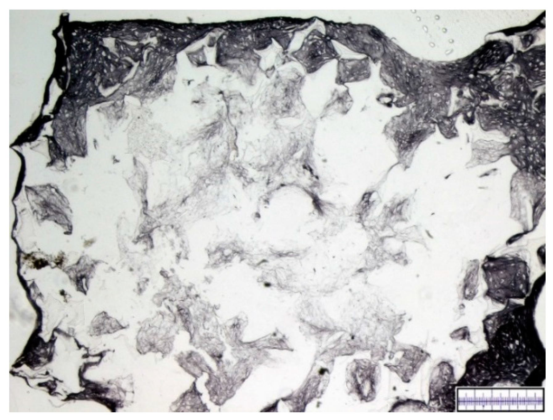 Materials 09 00276 g007 1024