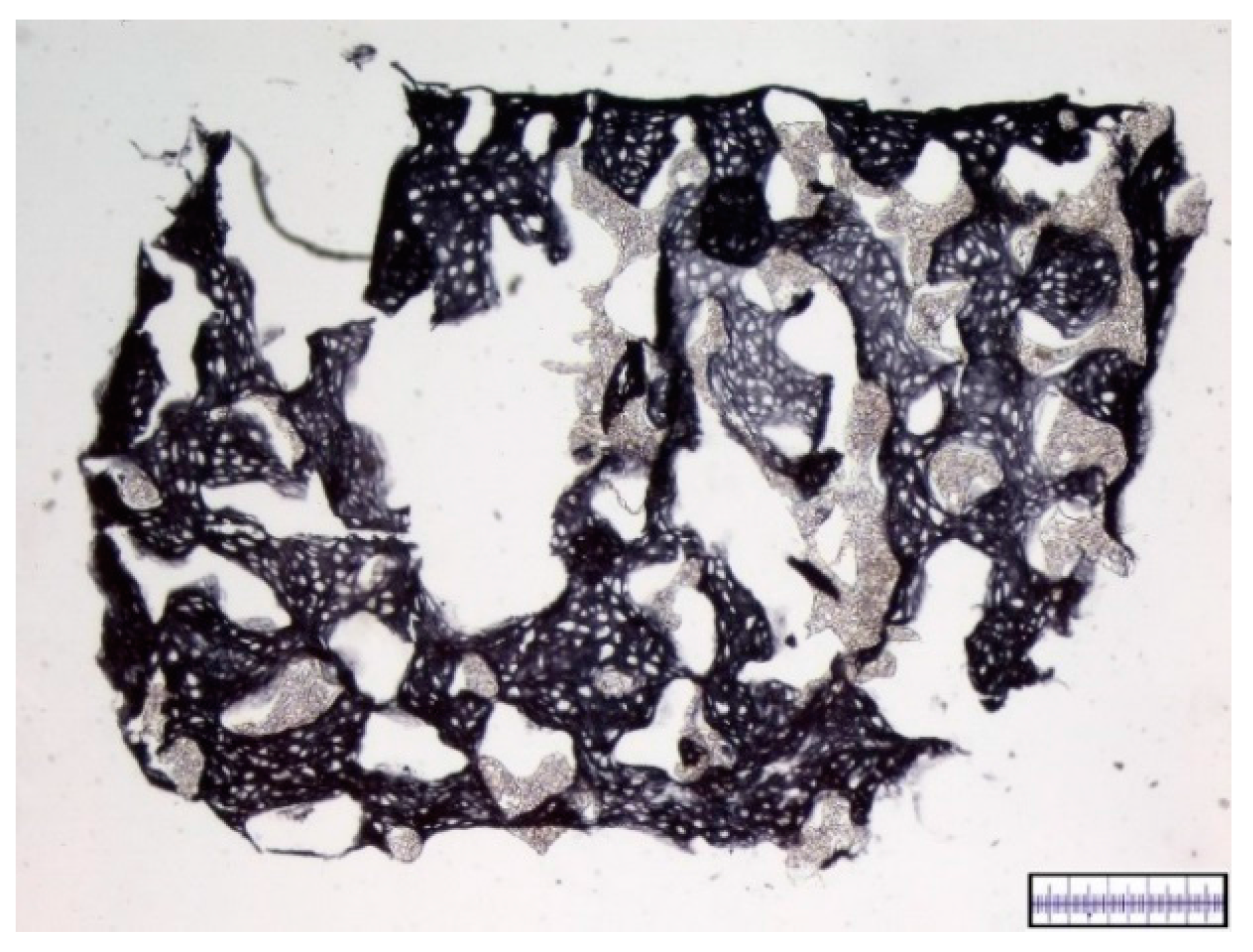 Materials 09 00276 g008 1024