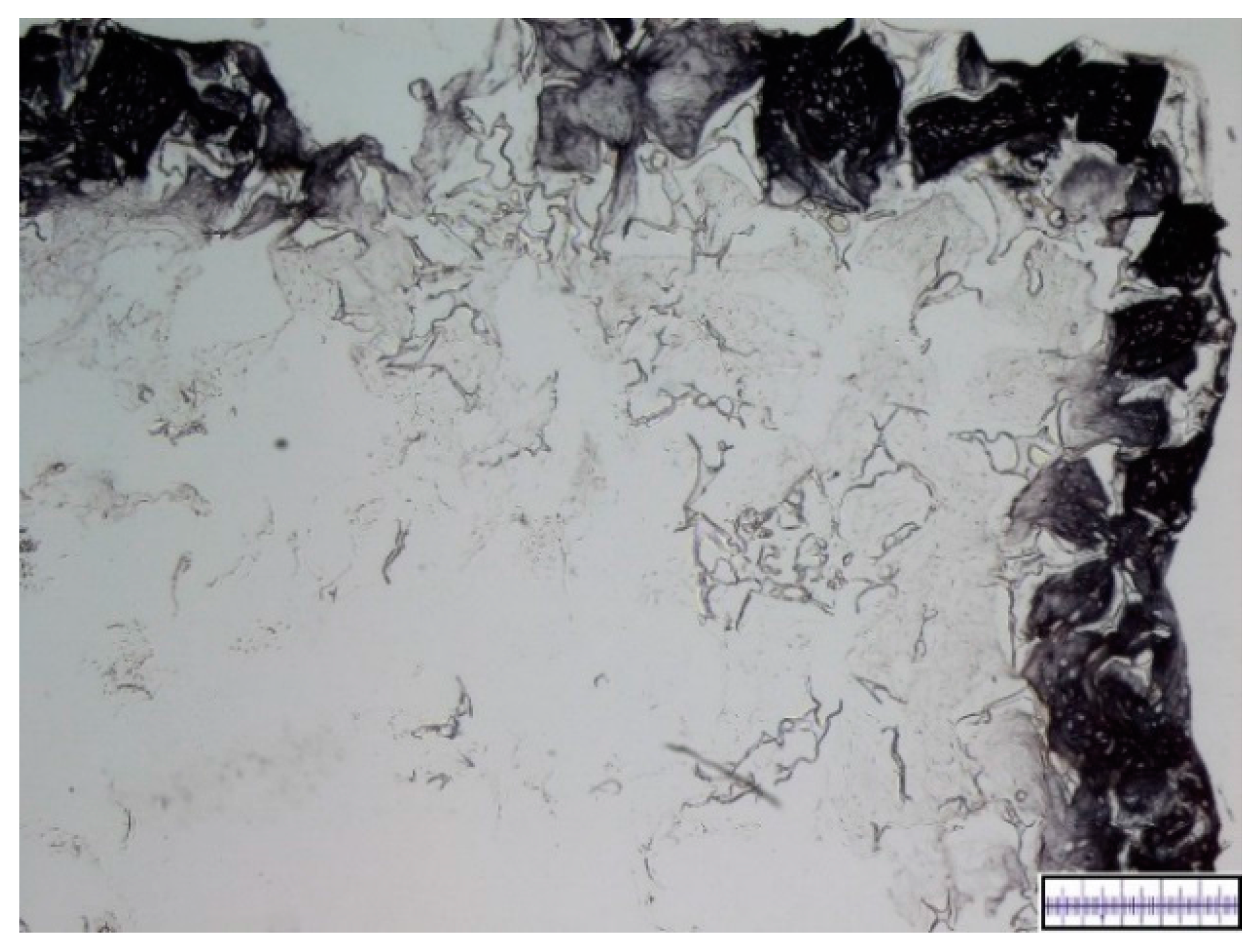 Materials 09 00276 g009 1024