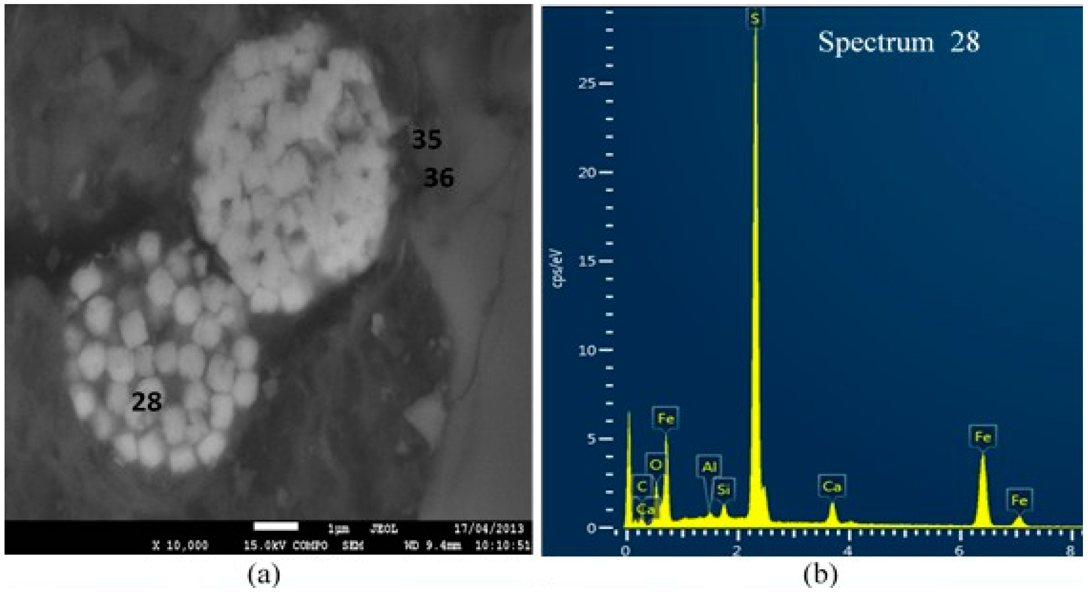 Materials 09 00289 g006a 1024