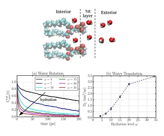 Materials | Special Issue : Surface Forces and Thin Liquid Films
