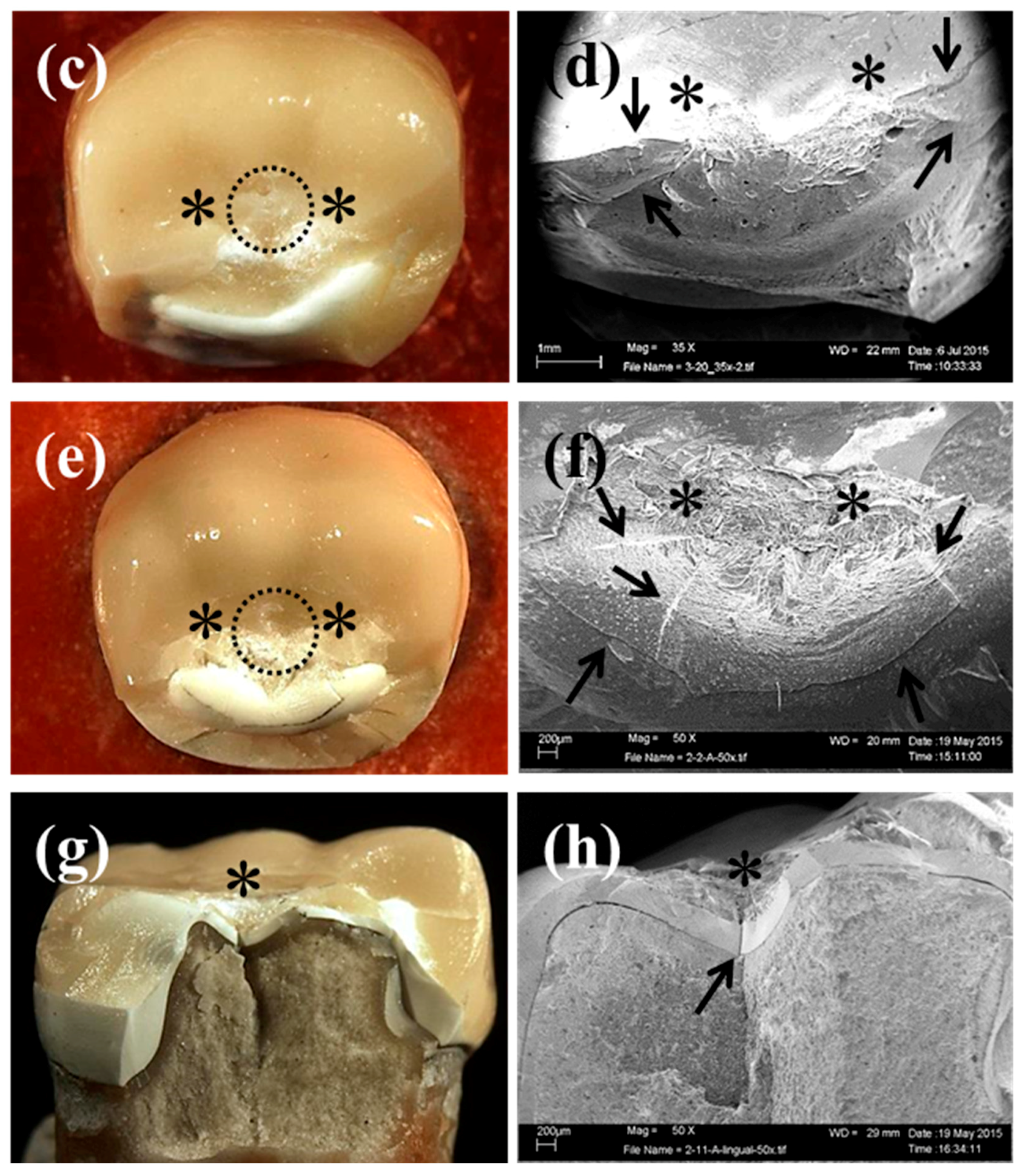 Materials 09 00339 g005b