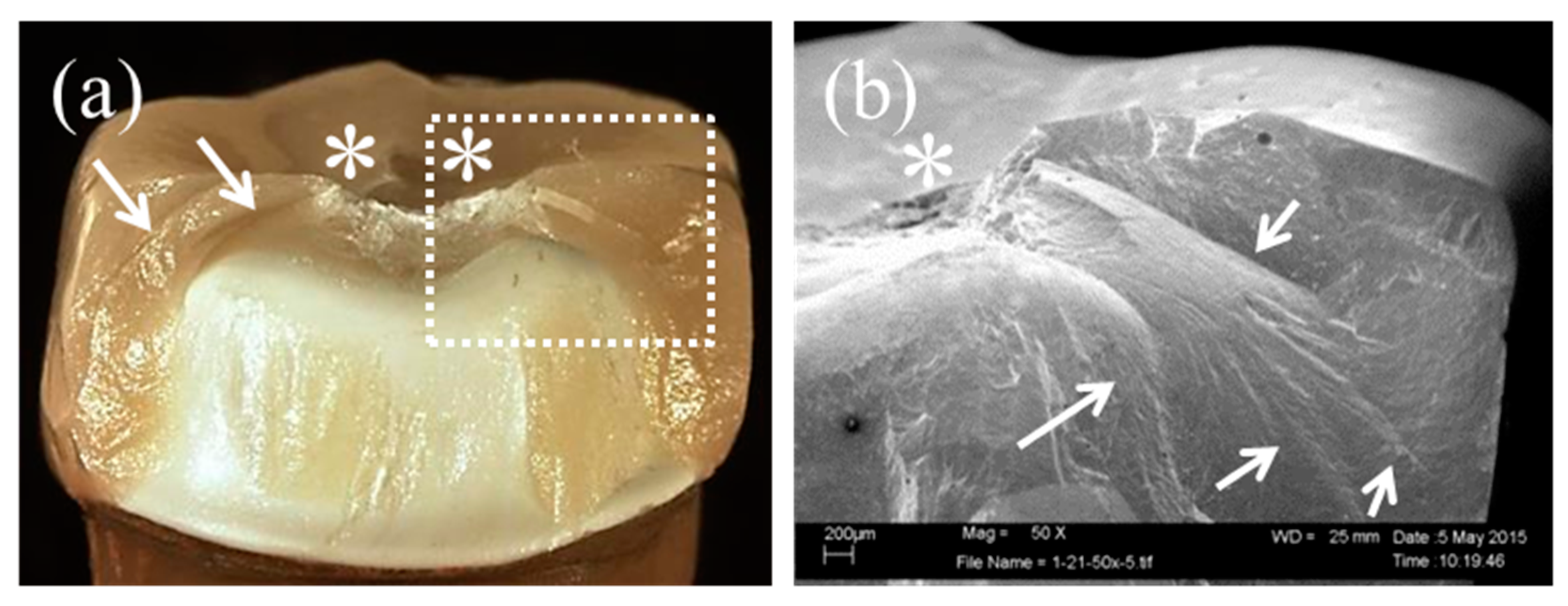 Materials 09 00339 g006a