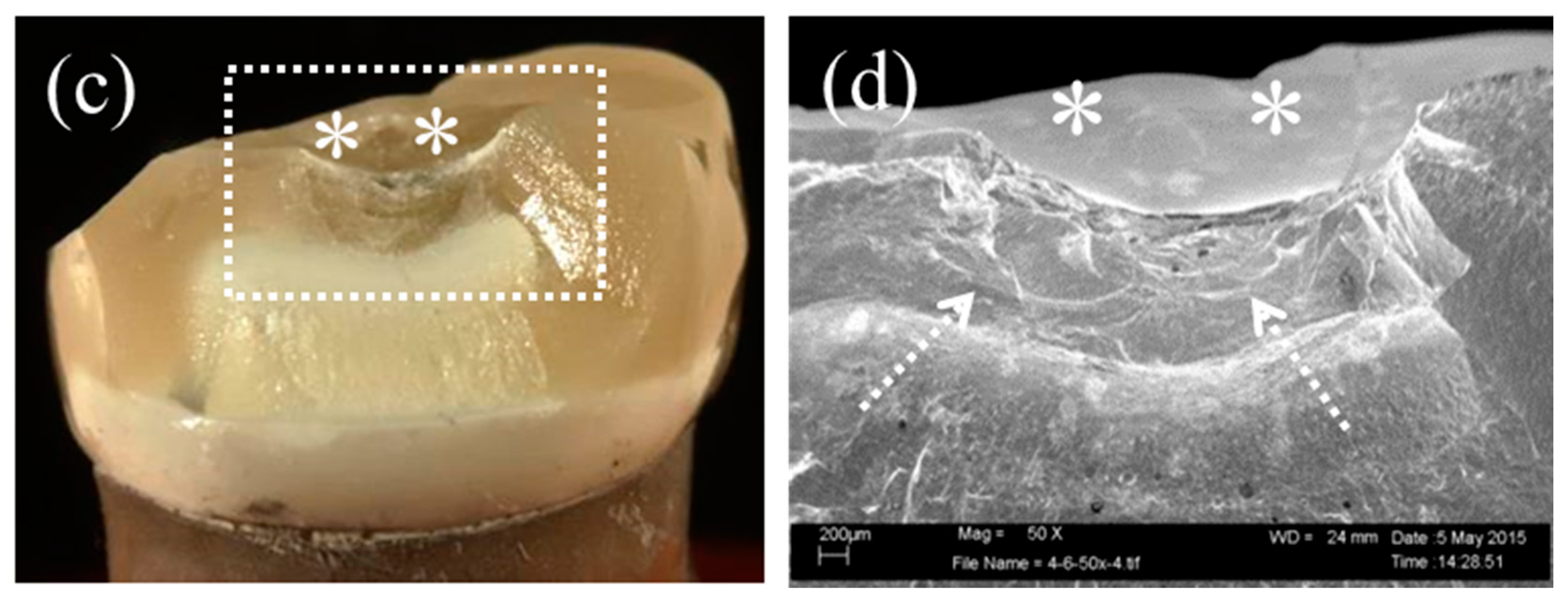 Materials 09 00339 g006b