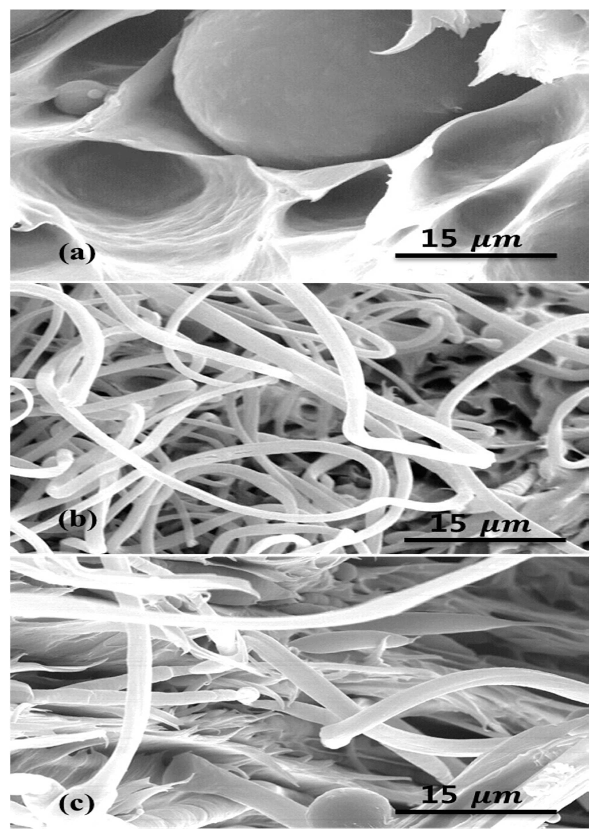 Materials 09 00342 g002