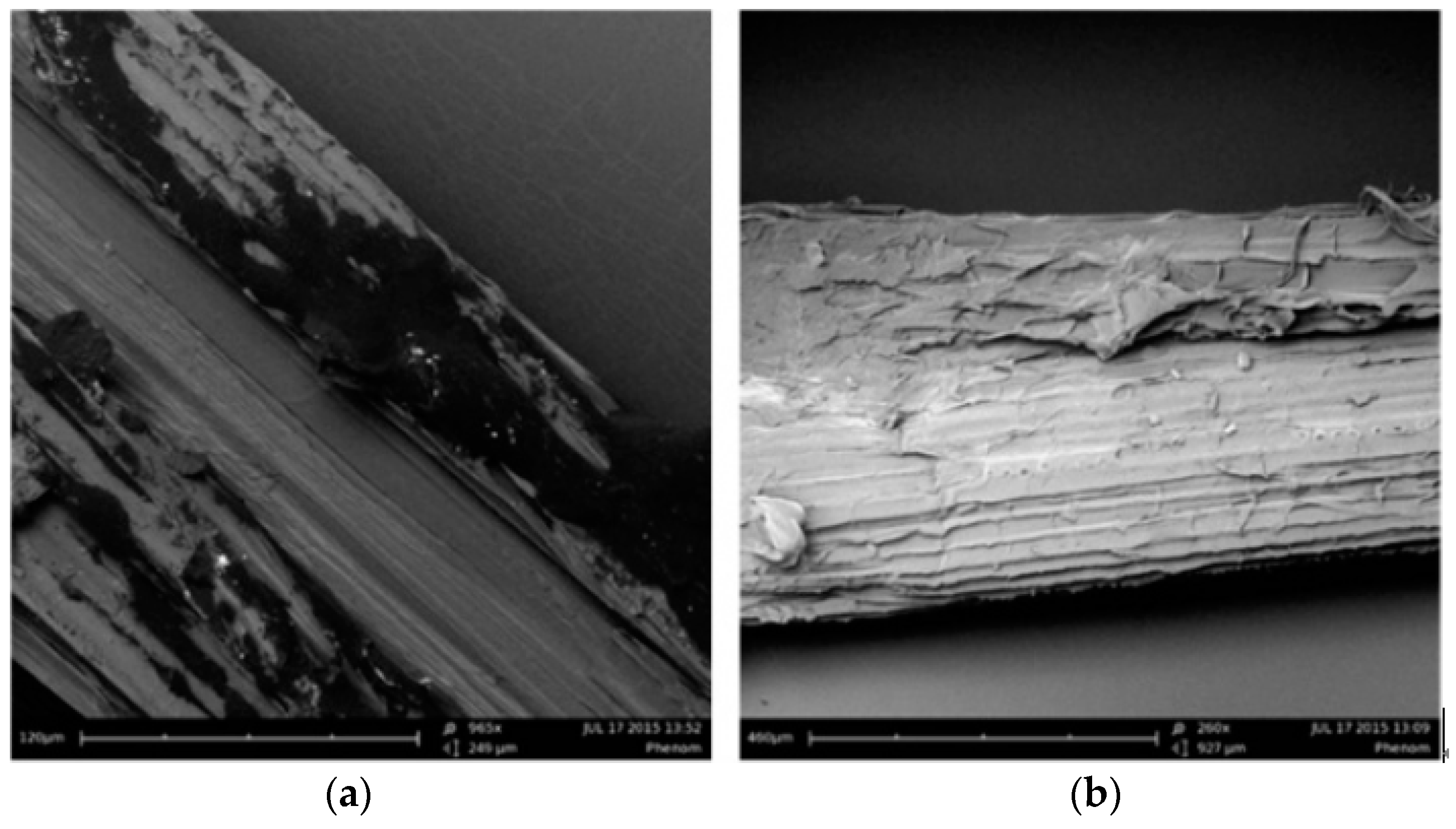Materials Free FullText Production of Banana Fiber Yarns for
