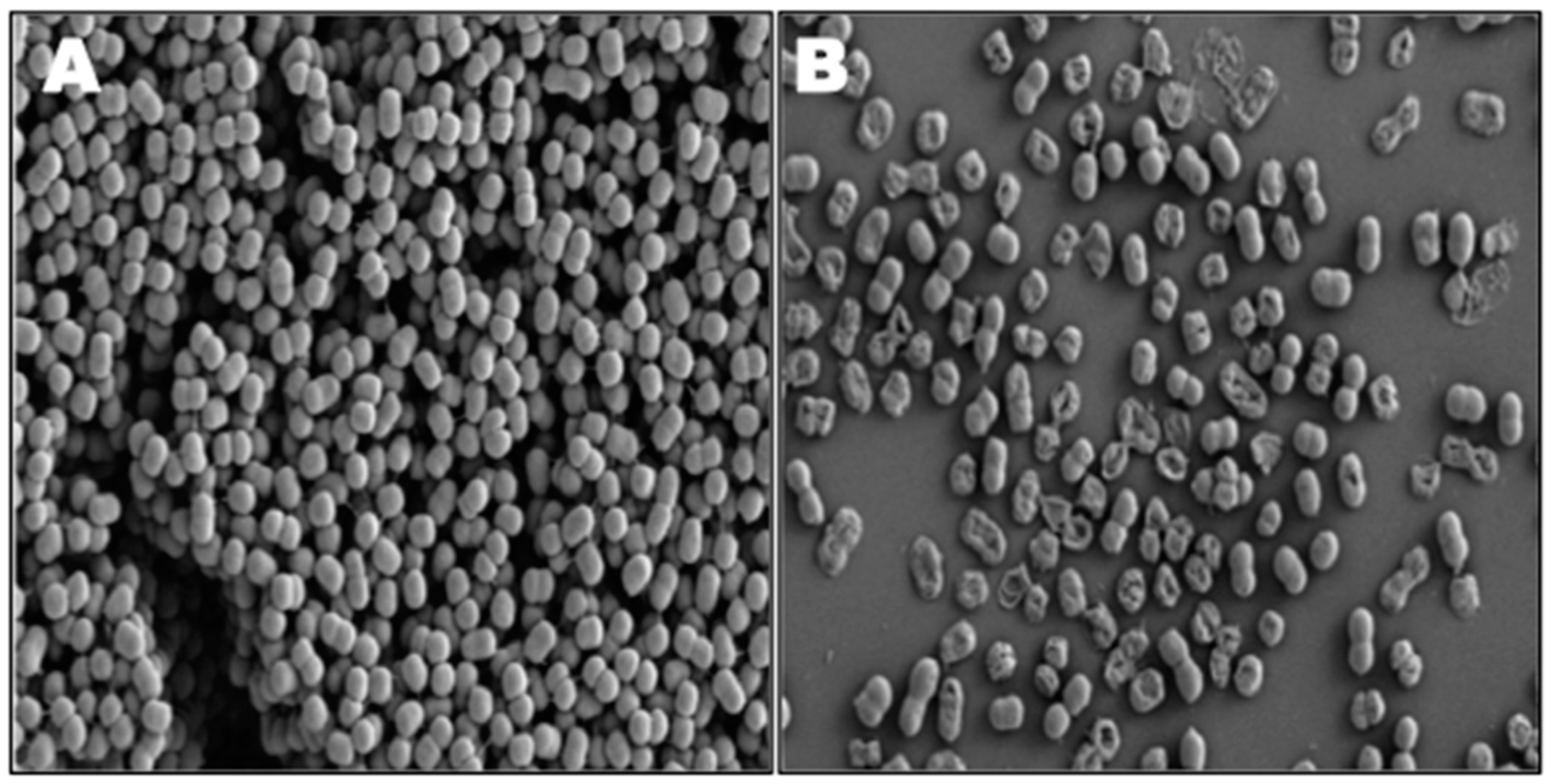 Materials 09 00383 g002