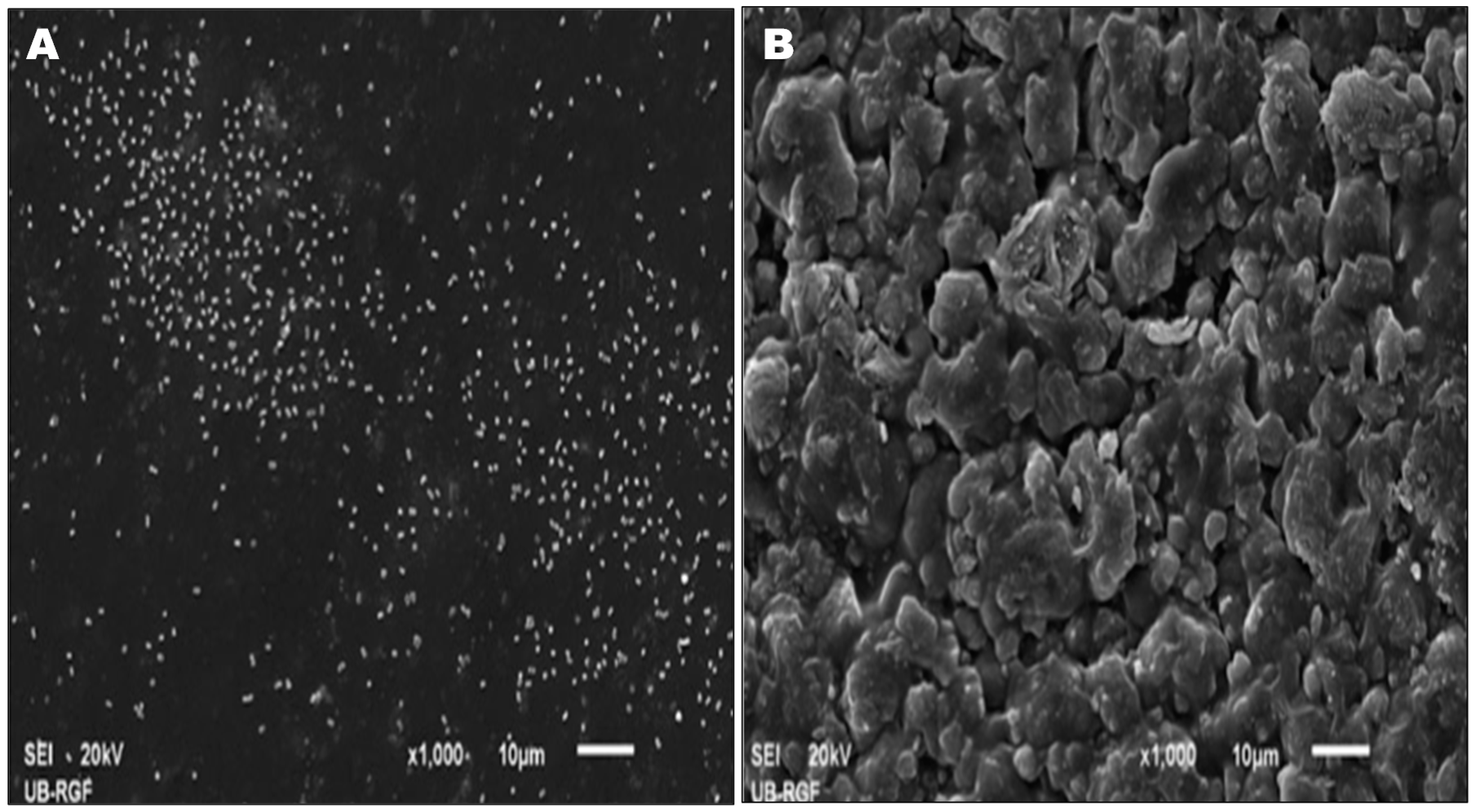 Materials 09 00383 g003