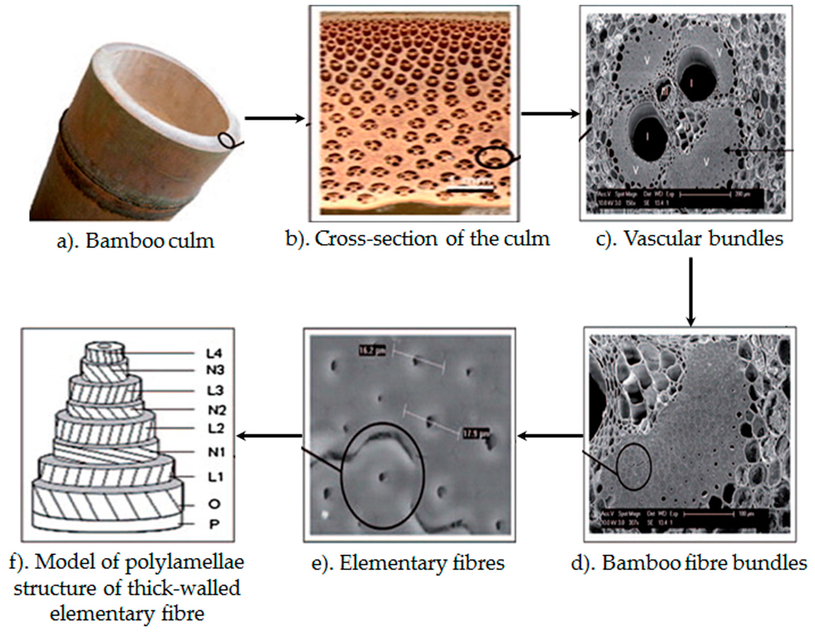 Materials 09 00435 g005