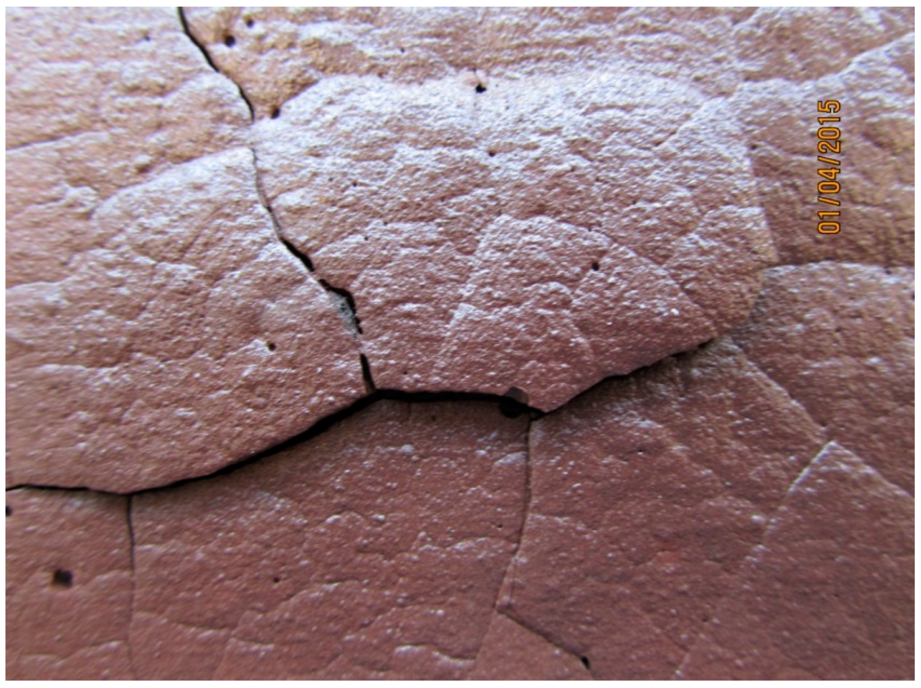 Materials 09 00445 g010