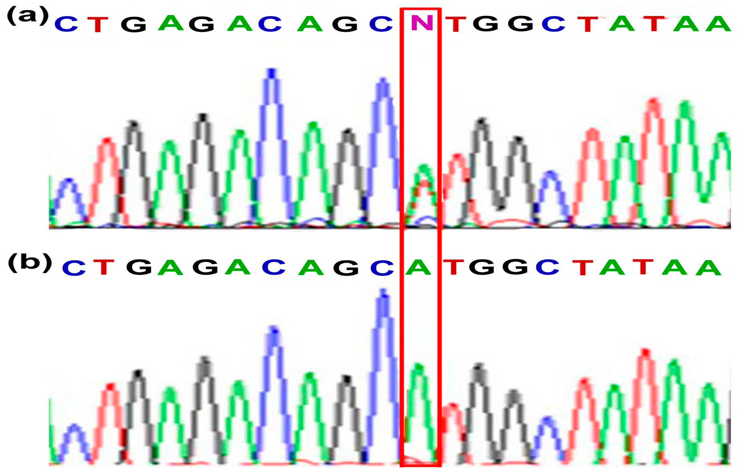 Materials 09 00464 g002