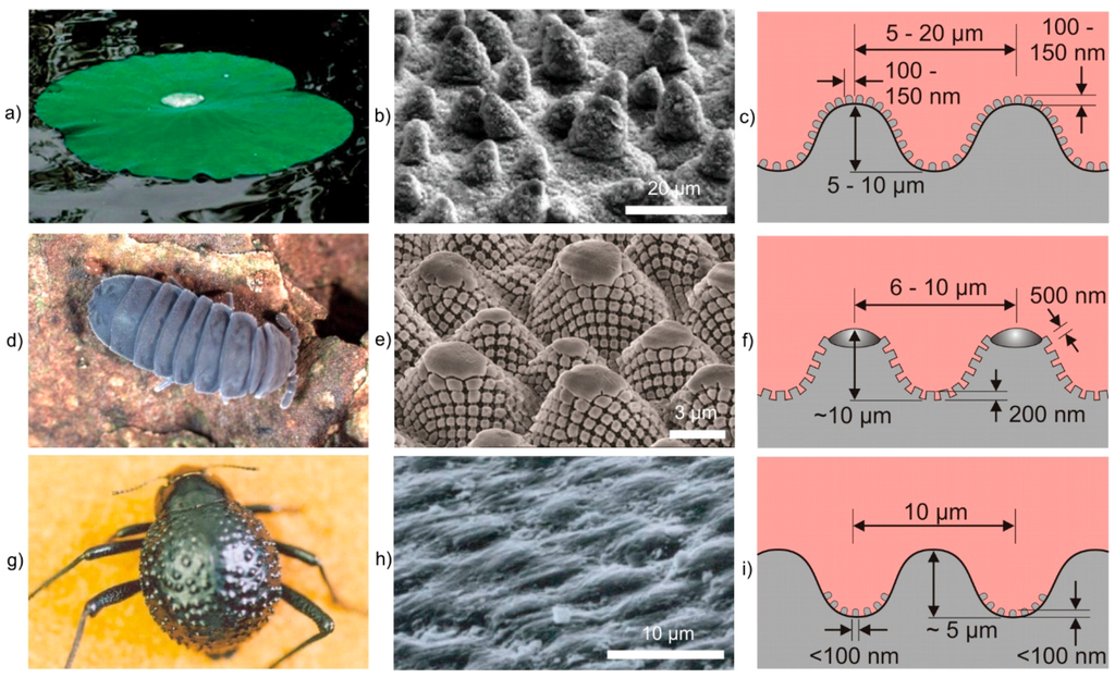 Materials Special Issue Bioinspired And Biomimetic Materials