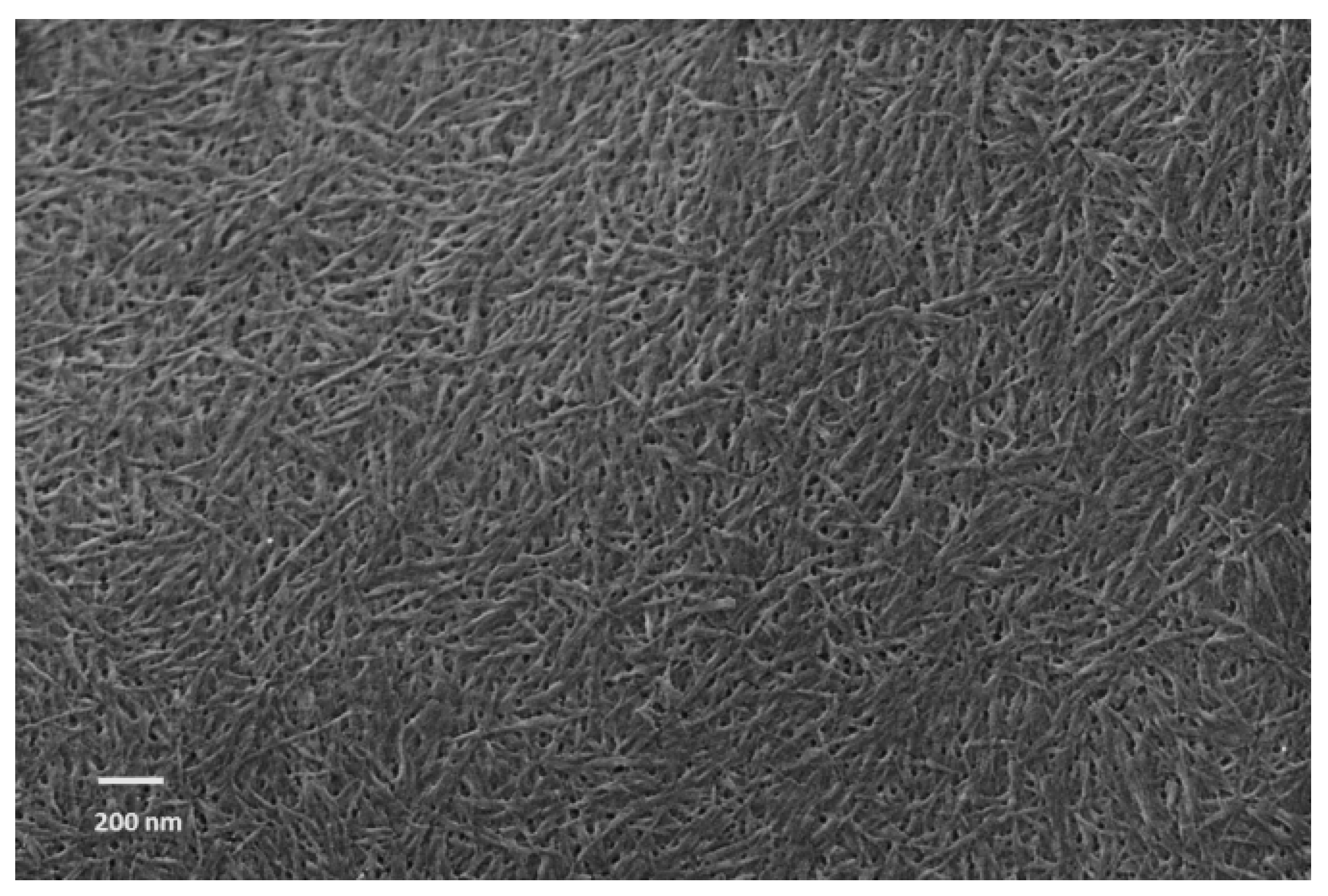 Materials 09 00499 g002 1024