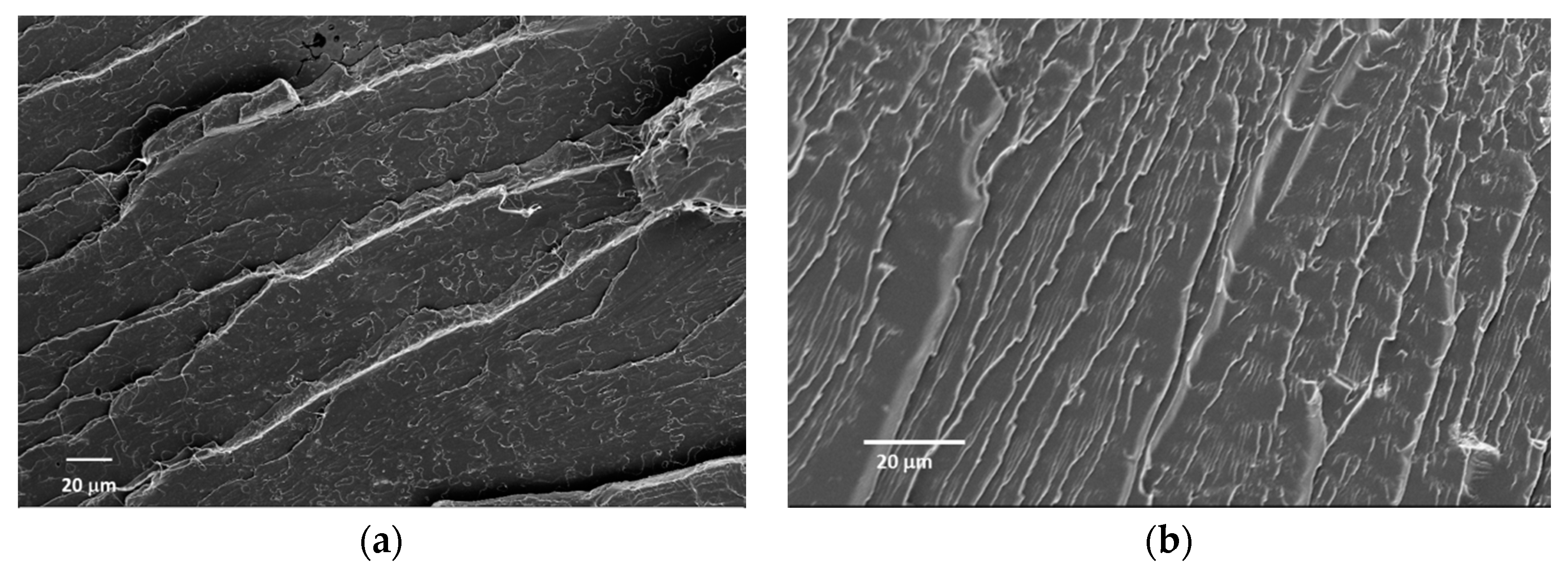 Materials 09 00499 g006 1024