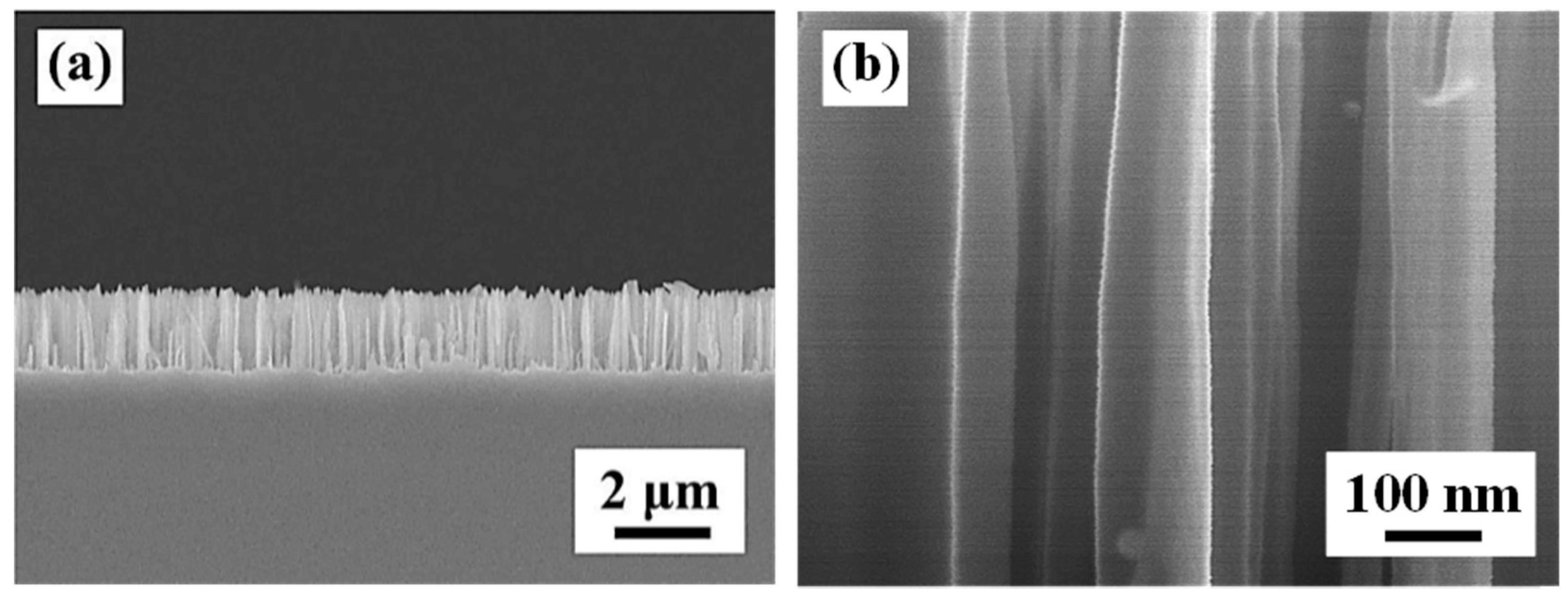 Materials 09 00534 g005 1024