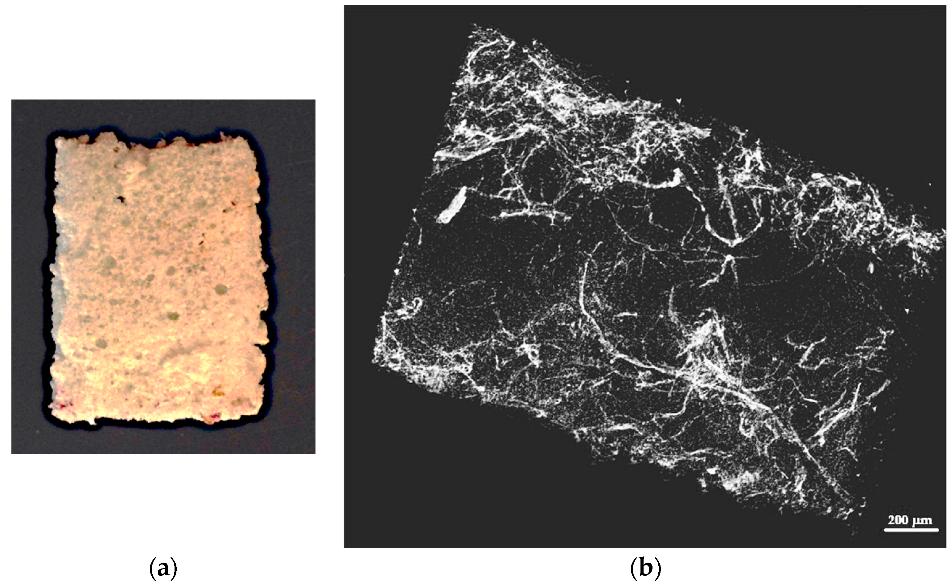Materials 09 00548 g010