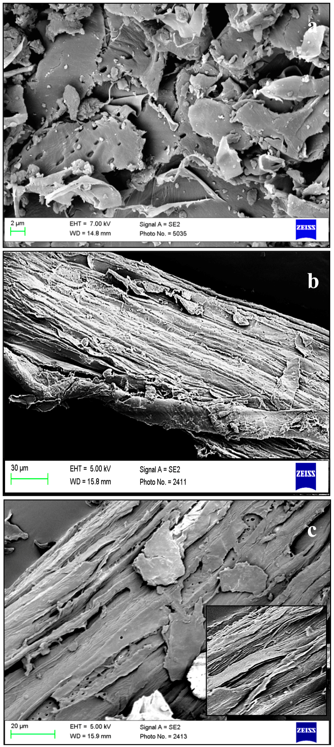 Materials 09 00562 g001