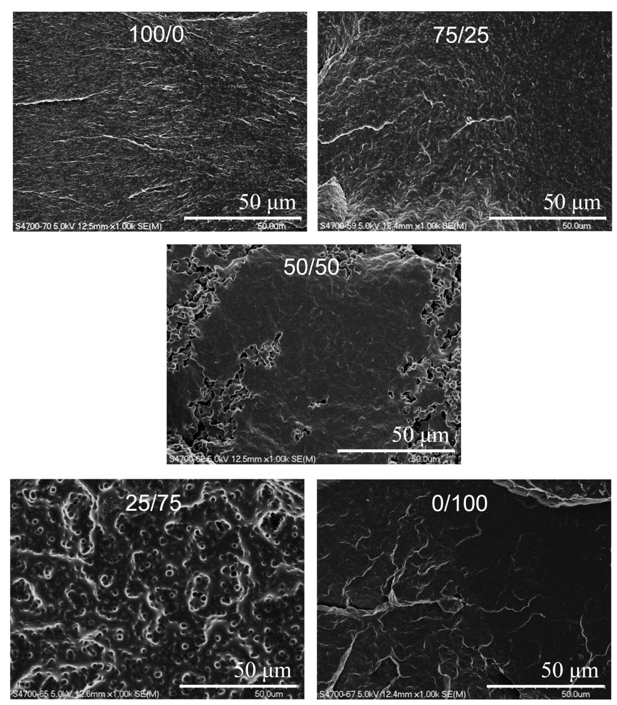 Materials 09 00591 g005 1024