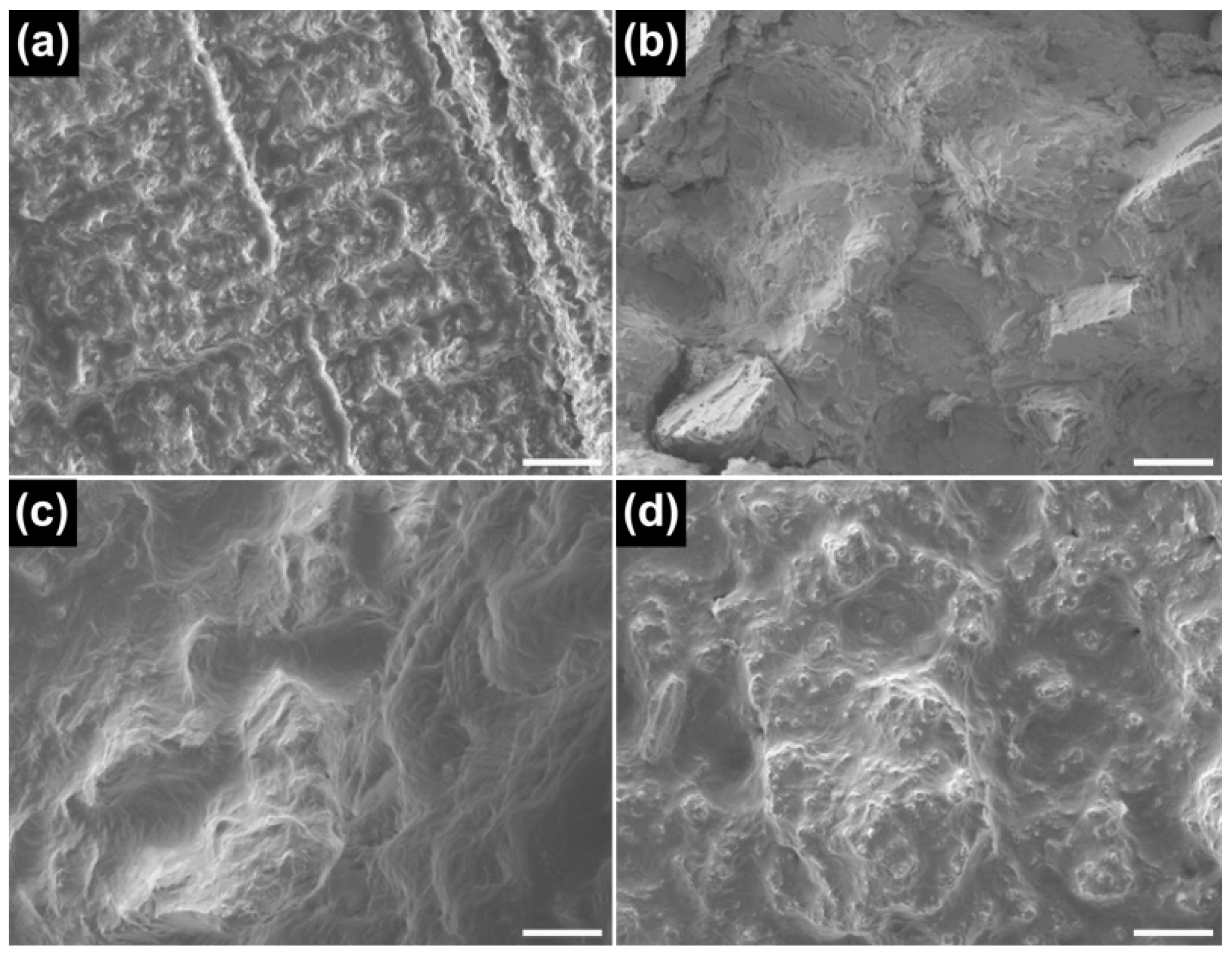 Materials 09 00596 g008 1024