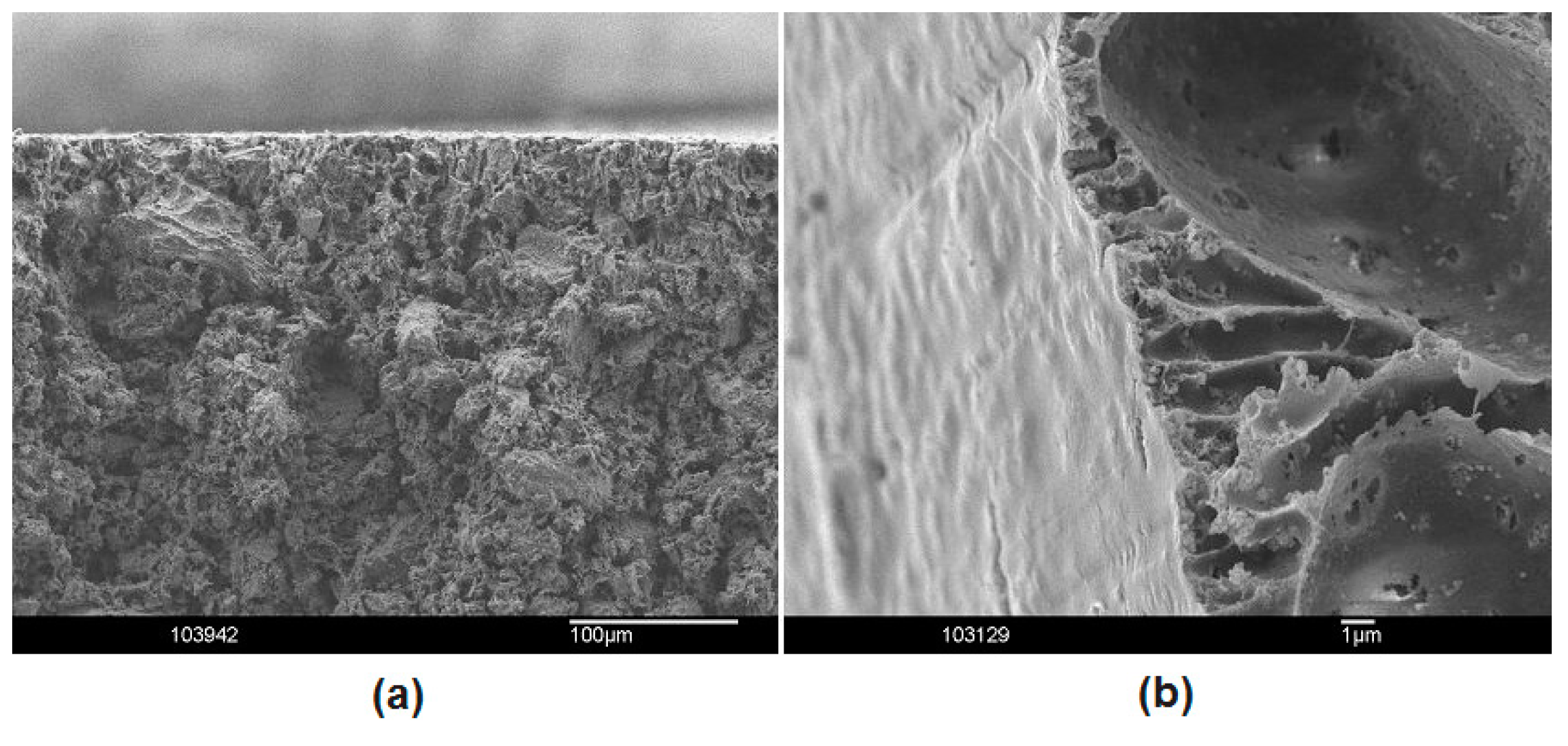 Materials 09 00601 g001 1024