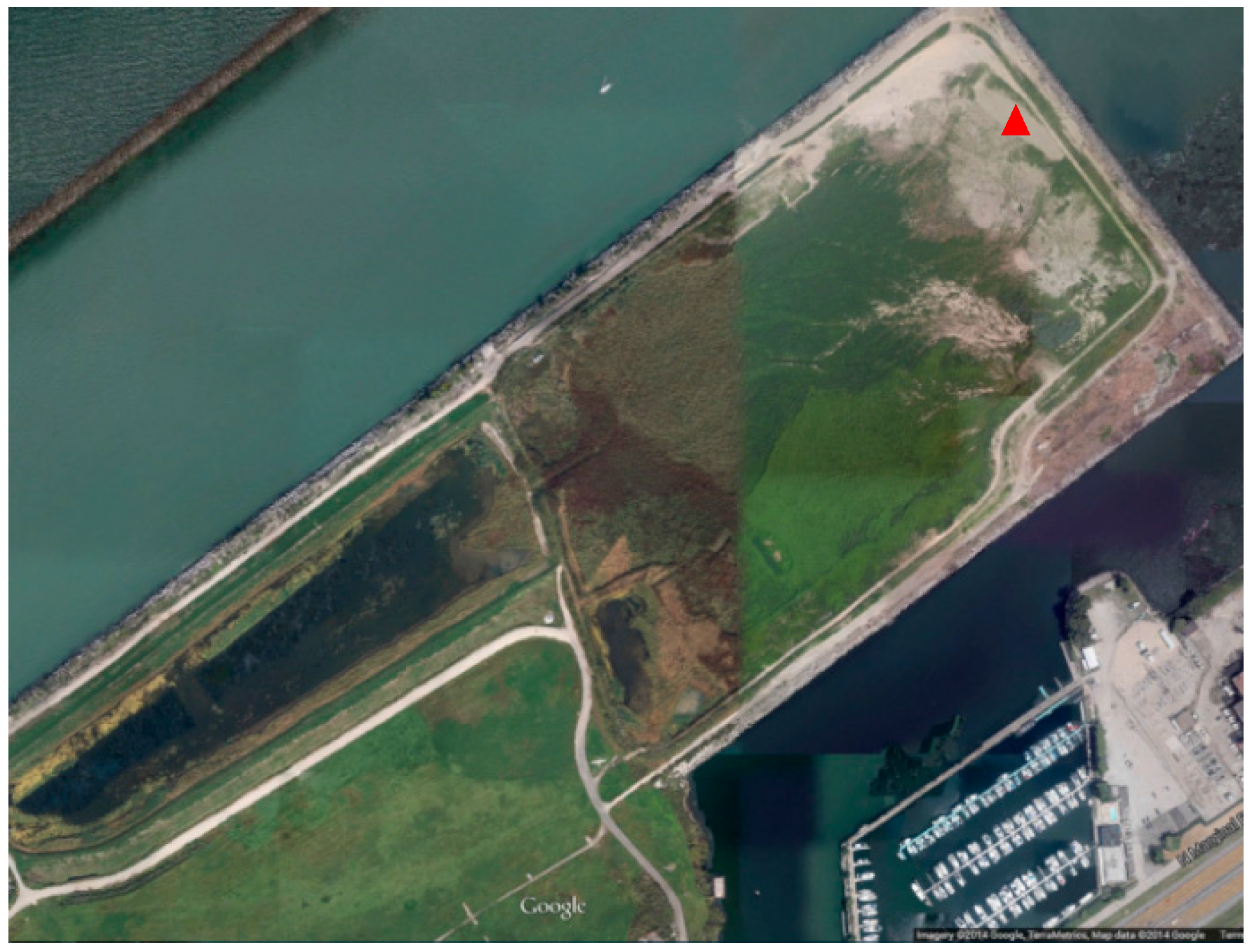 Materials 09 00611 g001 1024