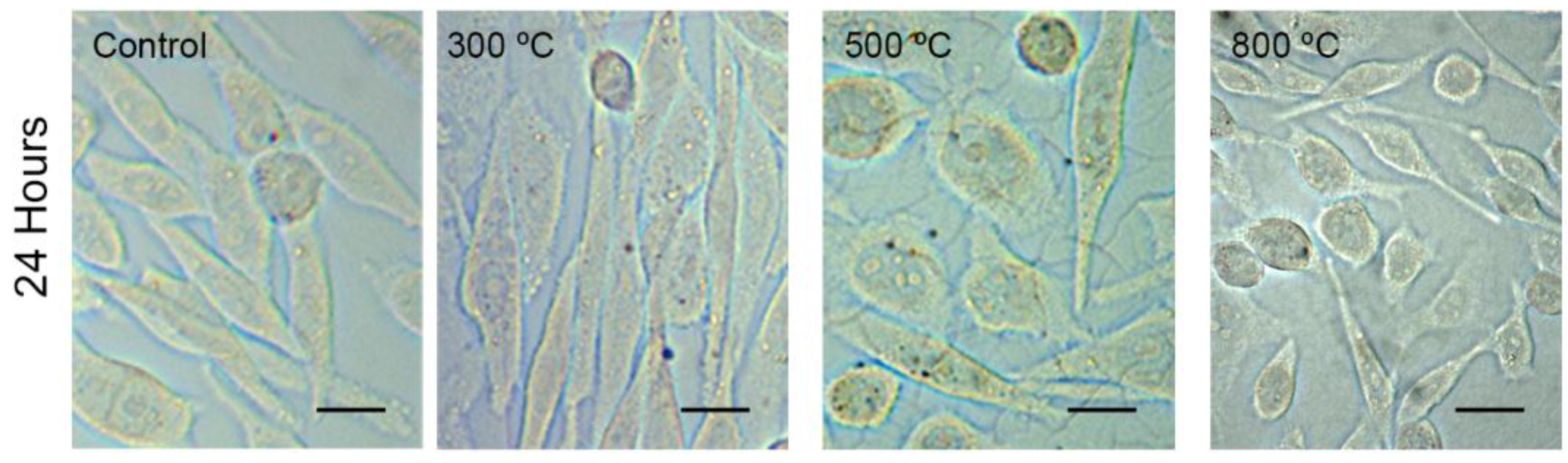 Materials 09 00619 g001