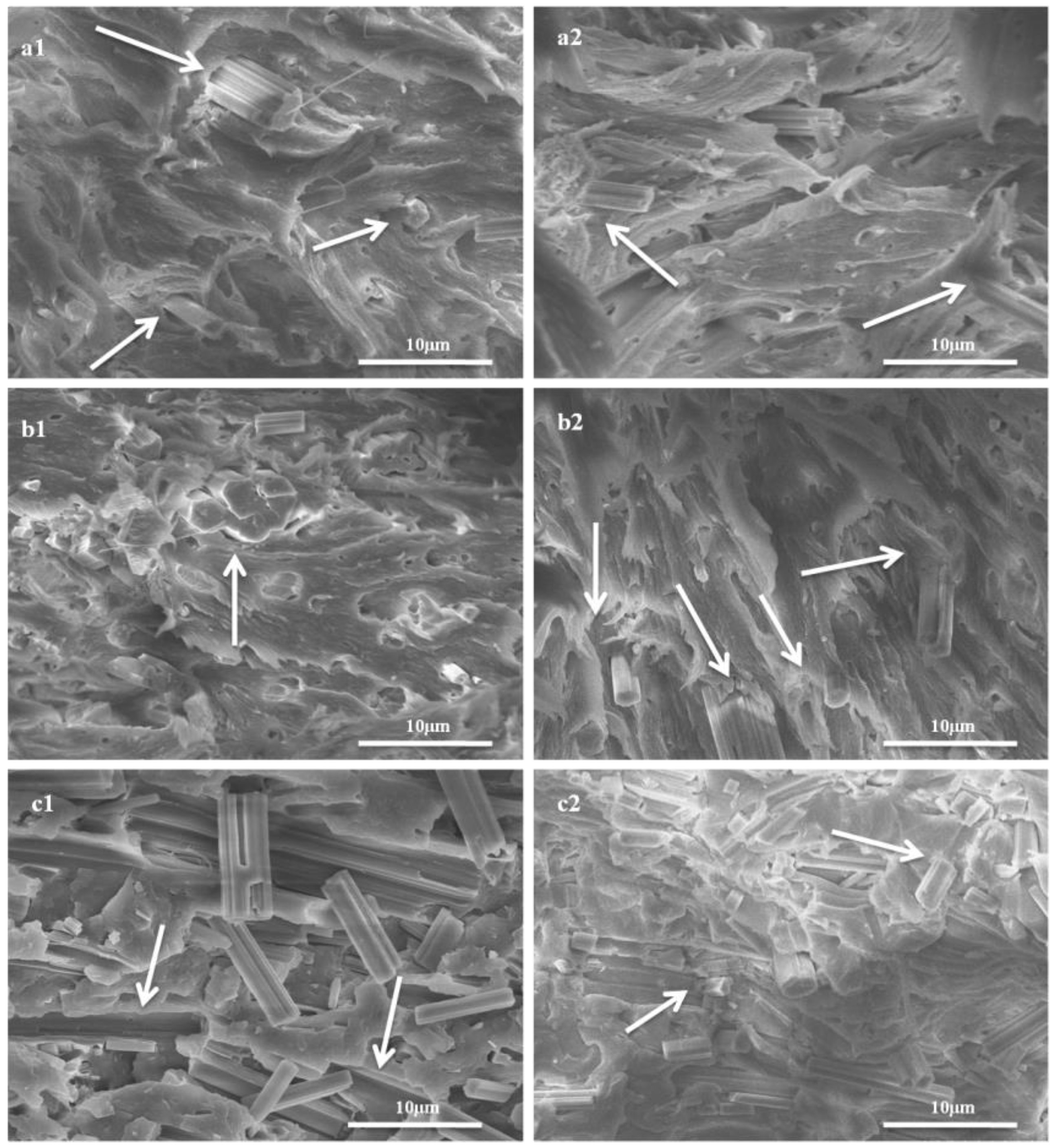 Materials 09 00625 g006 1024