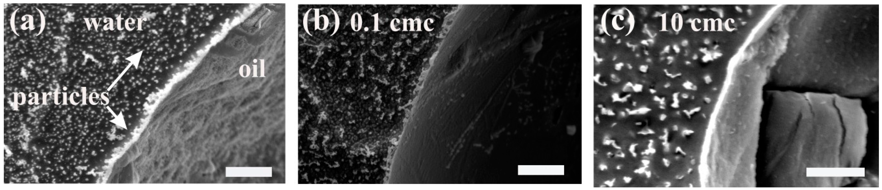 Materials 09 00626 g002 1024