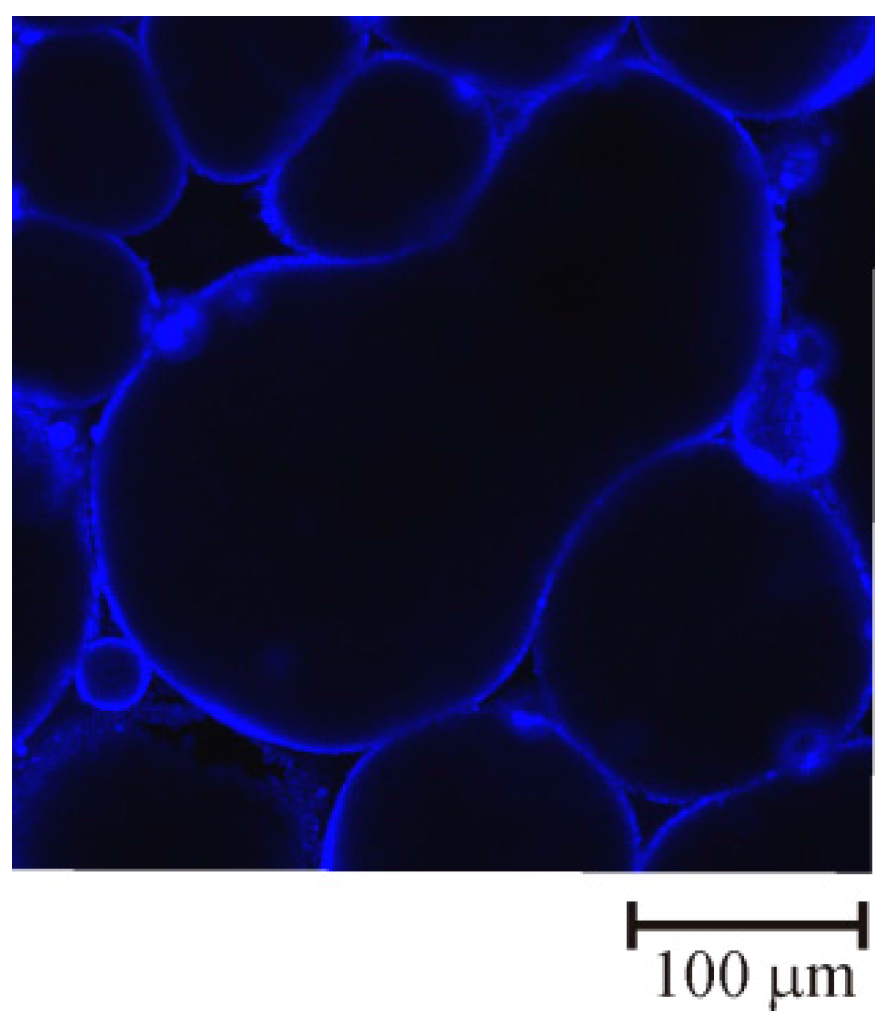 Materials 09 00626 g007 1024