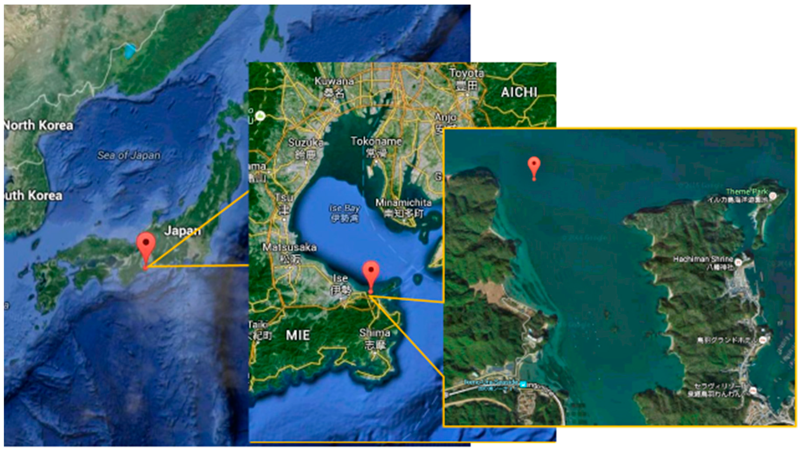 Materials 09 00632 g001