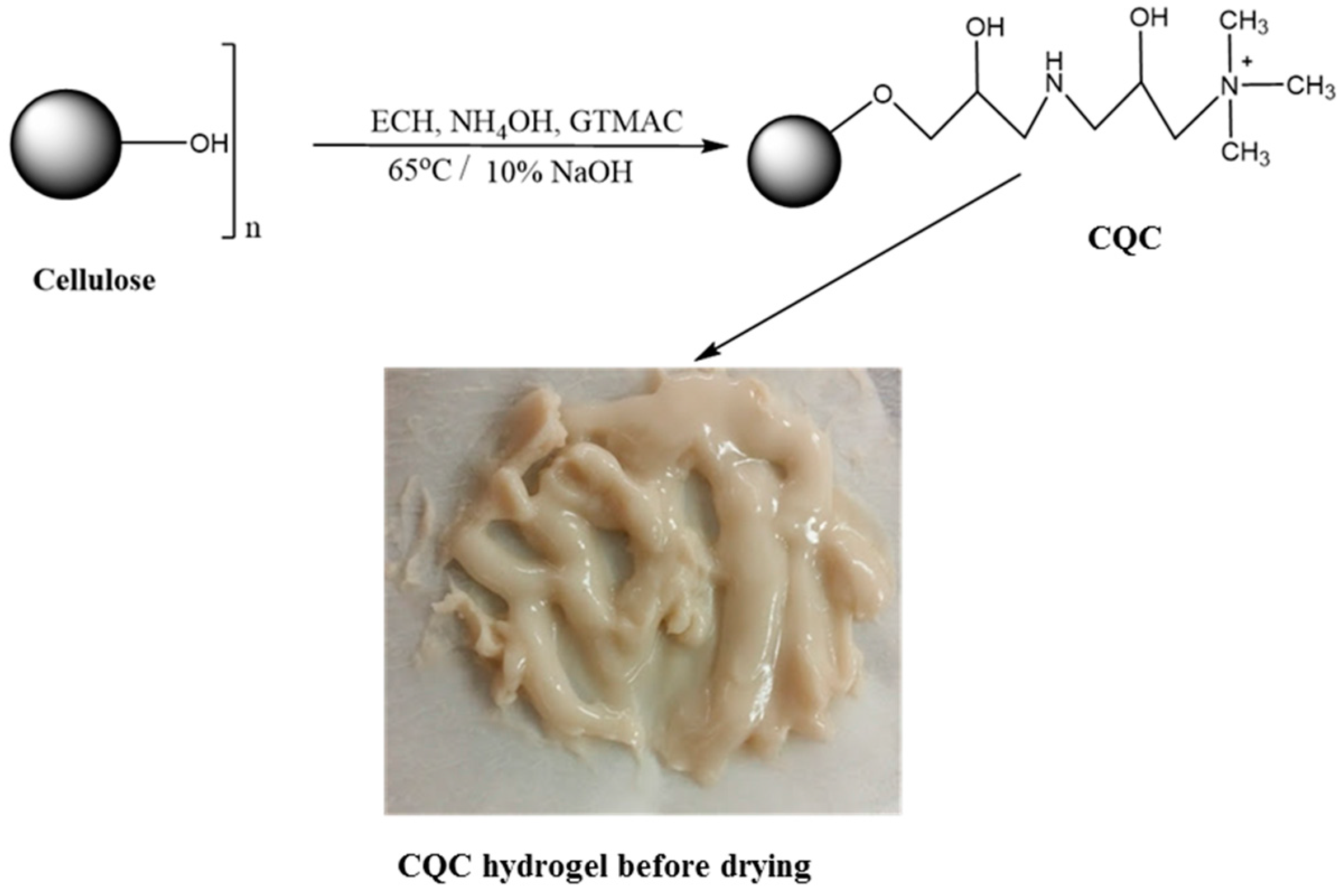 Materials 09 00645 sch001 1024