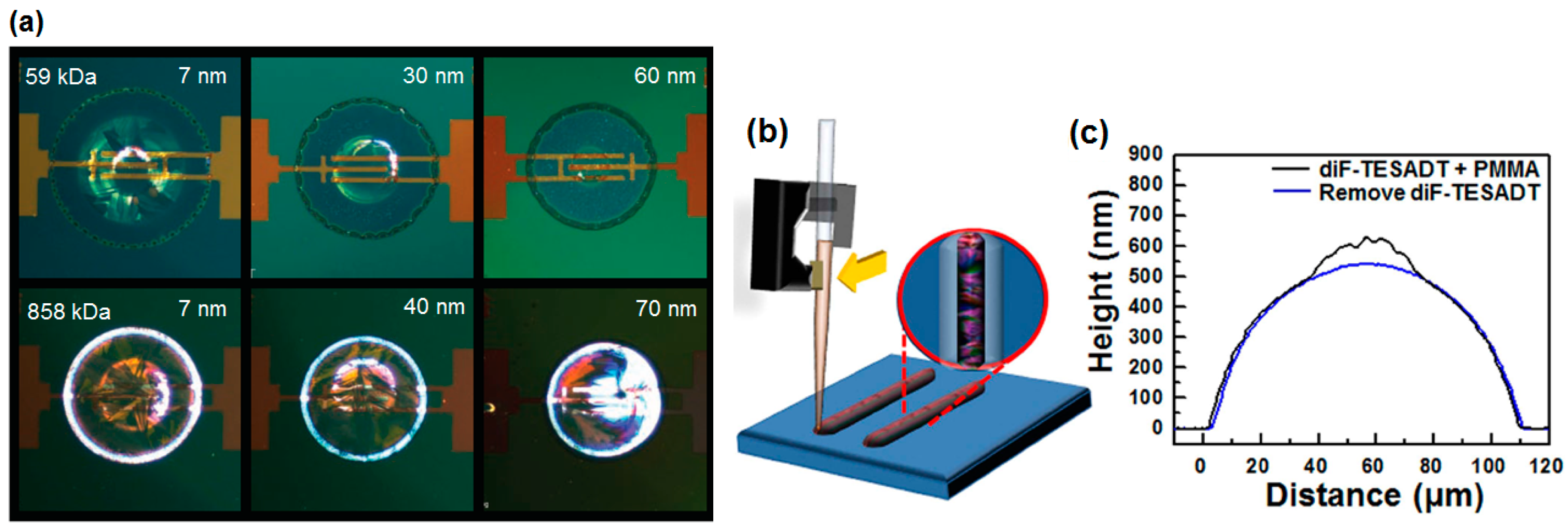 Materials 09 00650 g009