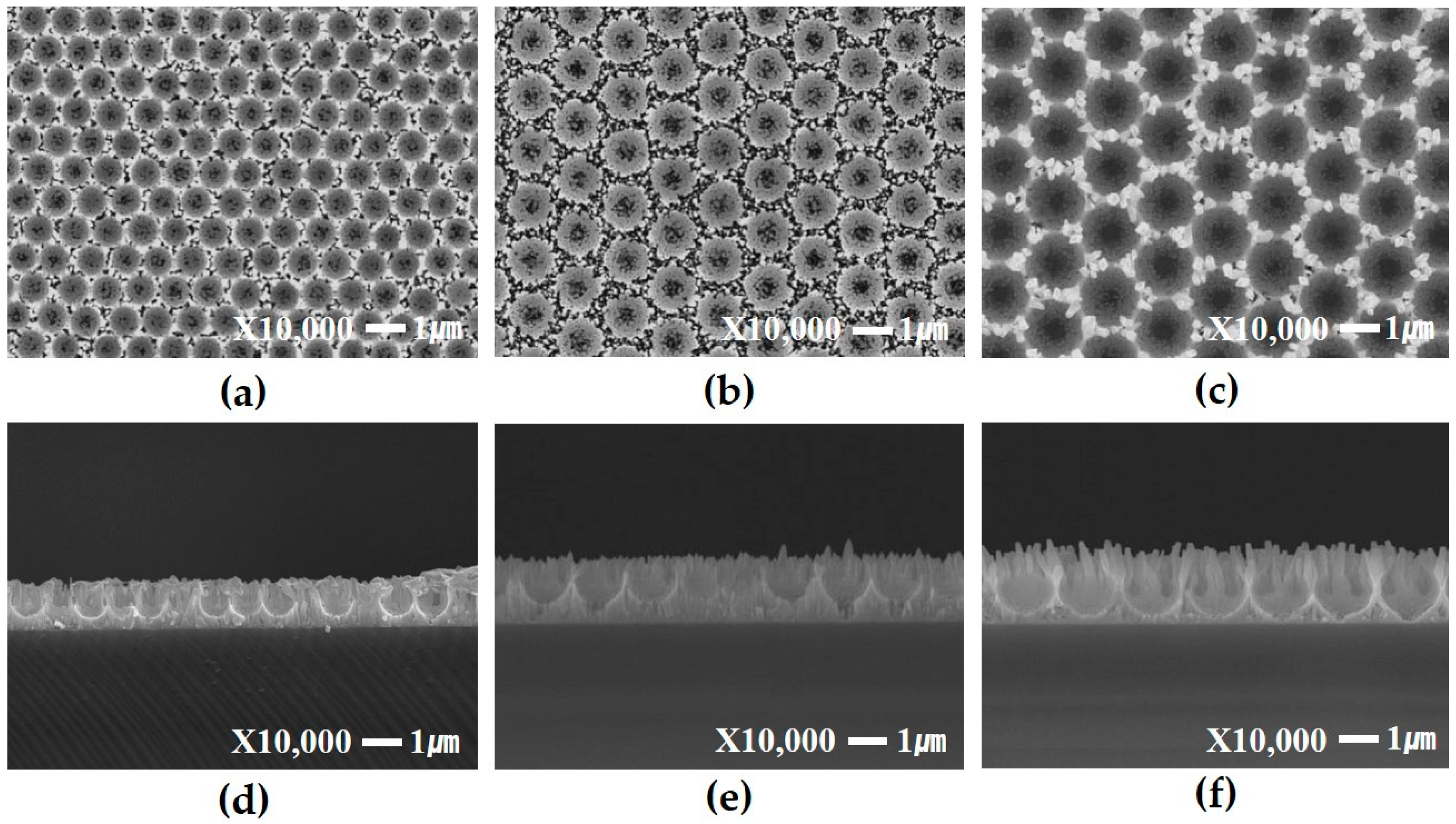 Materials 09 00656 g004