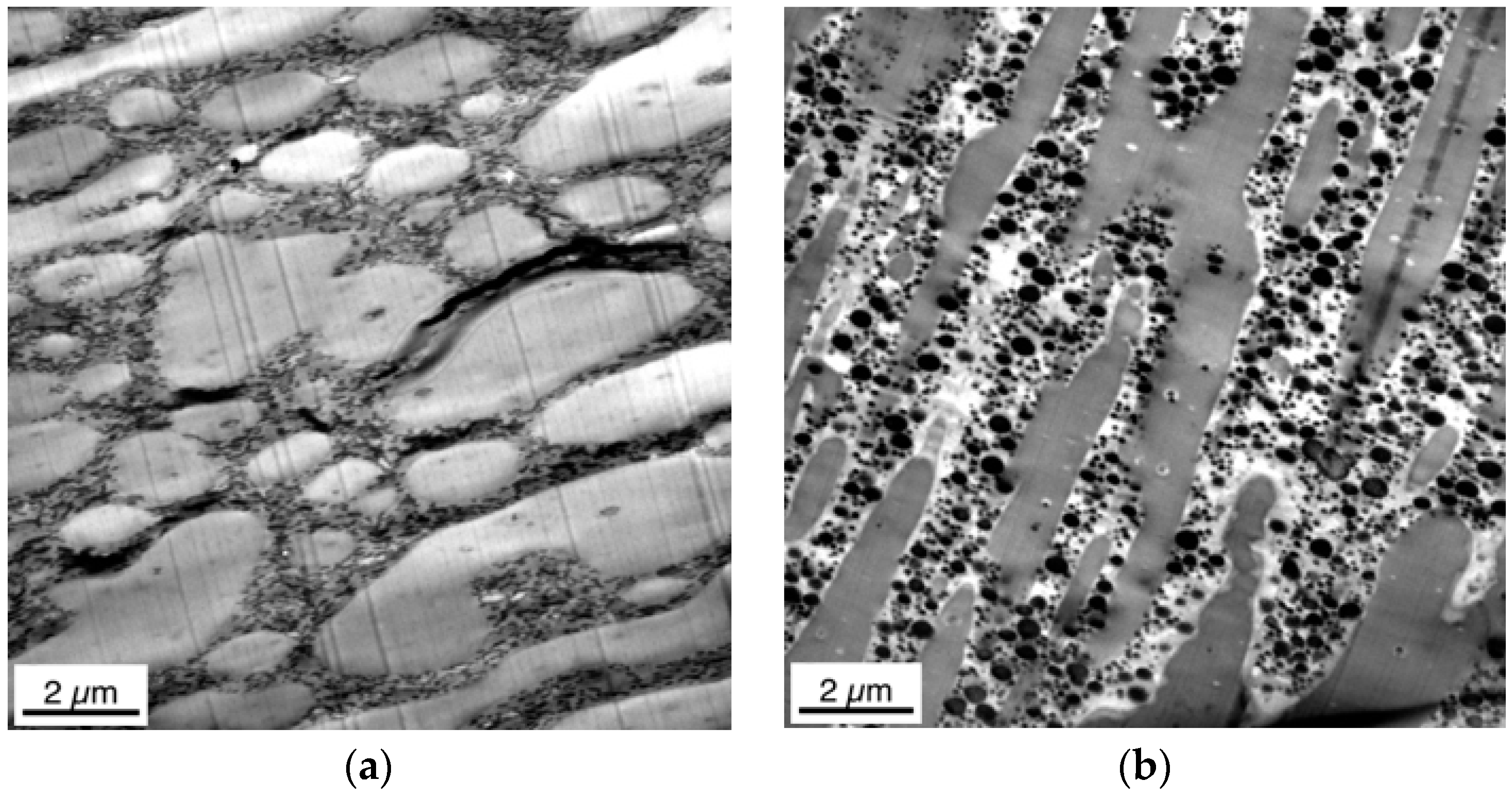 Materials 09 00659 g006 1024