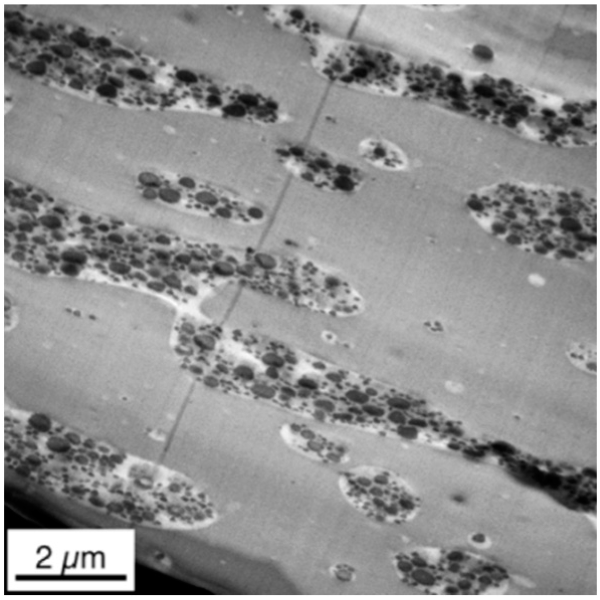 Materials 09 00659 g007 1024