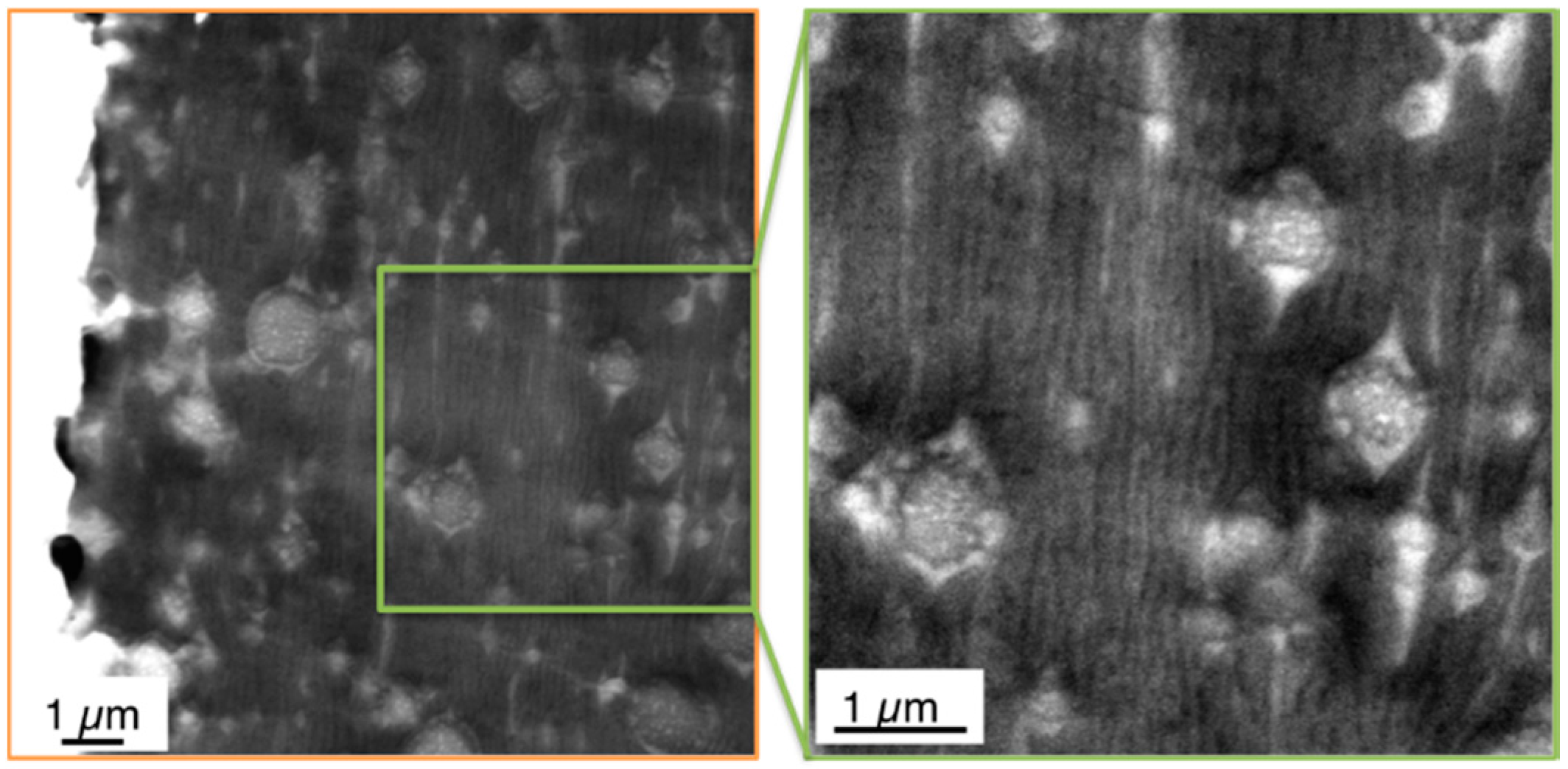 Materials 09 00659 g011 1024