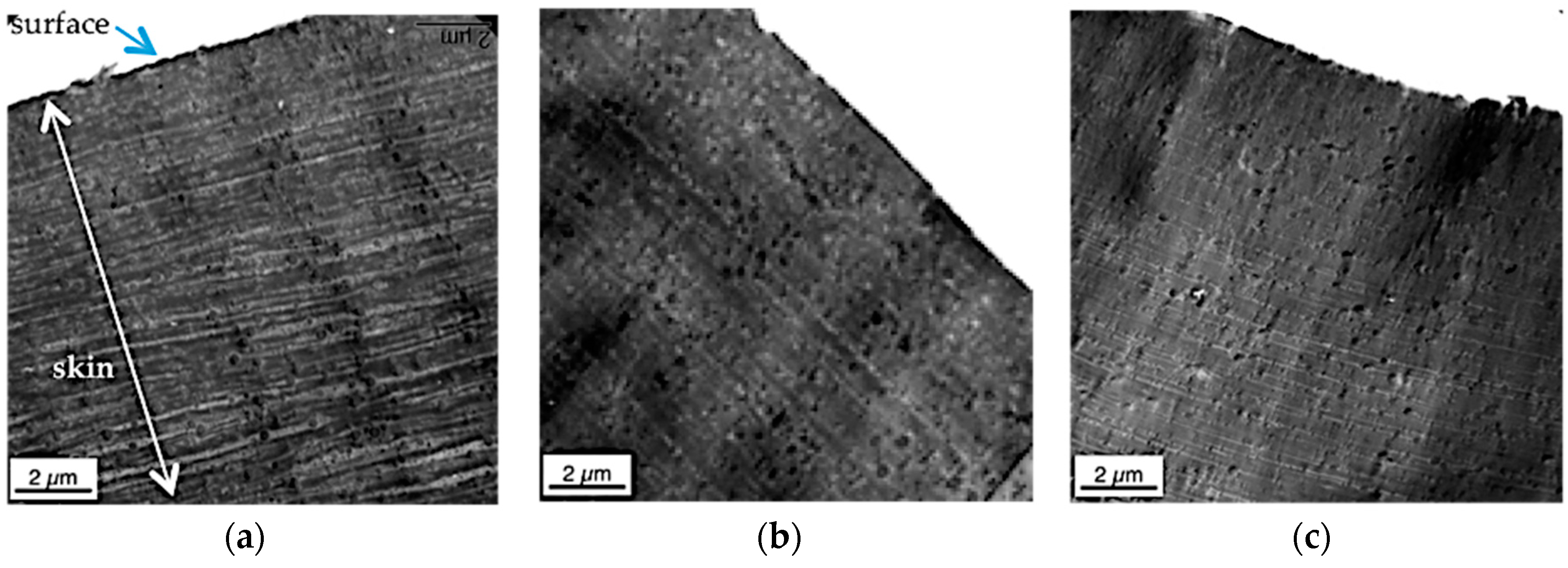 Materials 09 00659 g012 1024