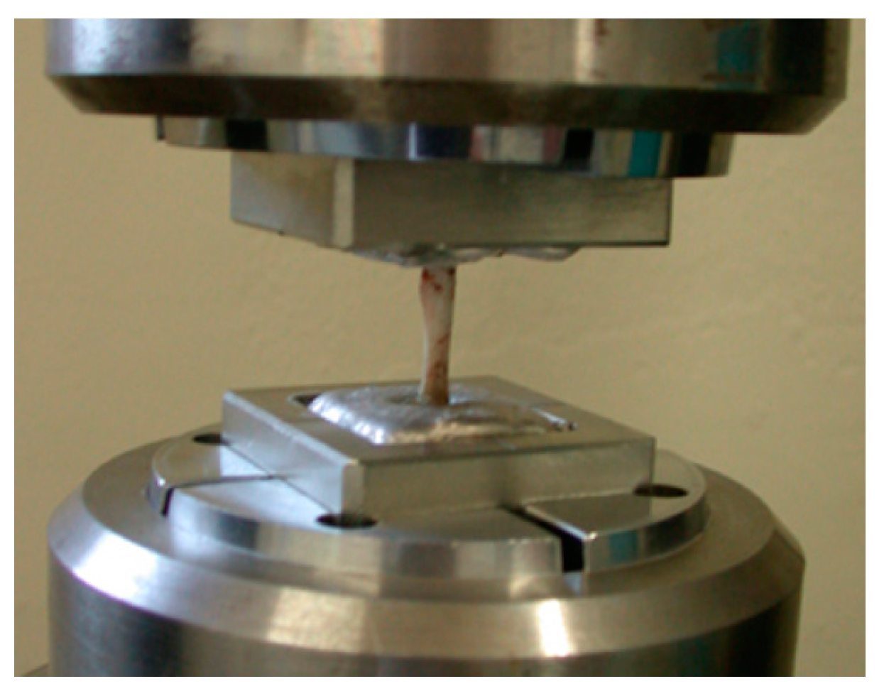 Materials 09 00676 g003 1024