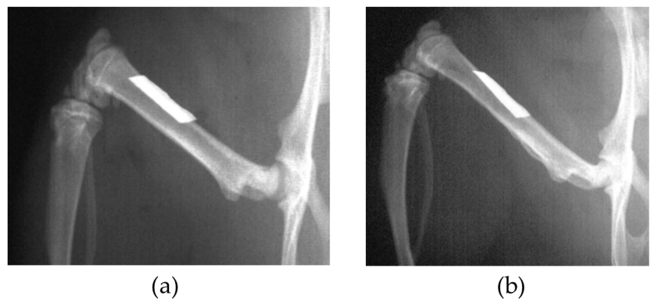 Materials 09 00676 g009 1024