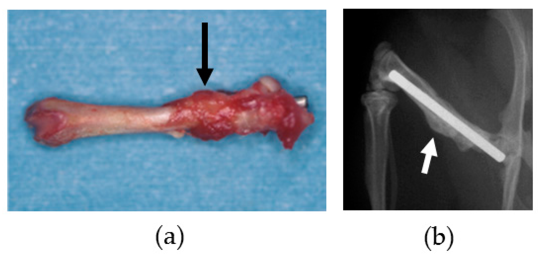 Materials 09 00676 g010 1024