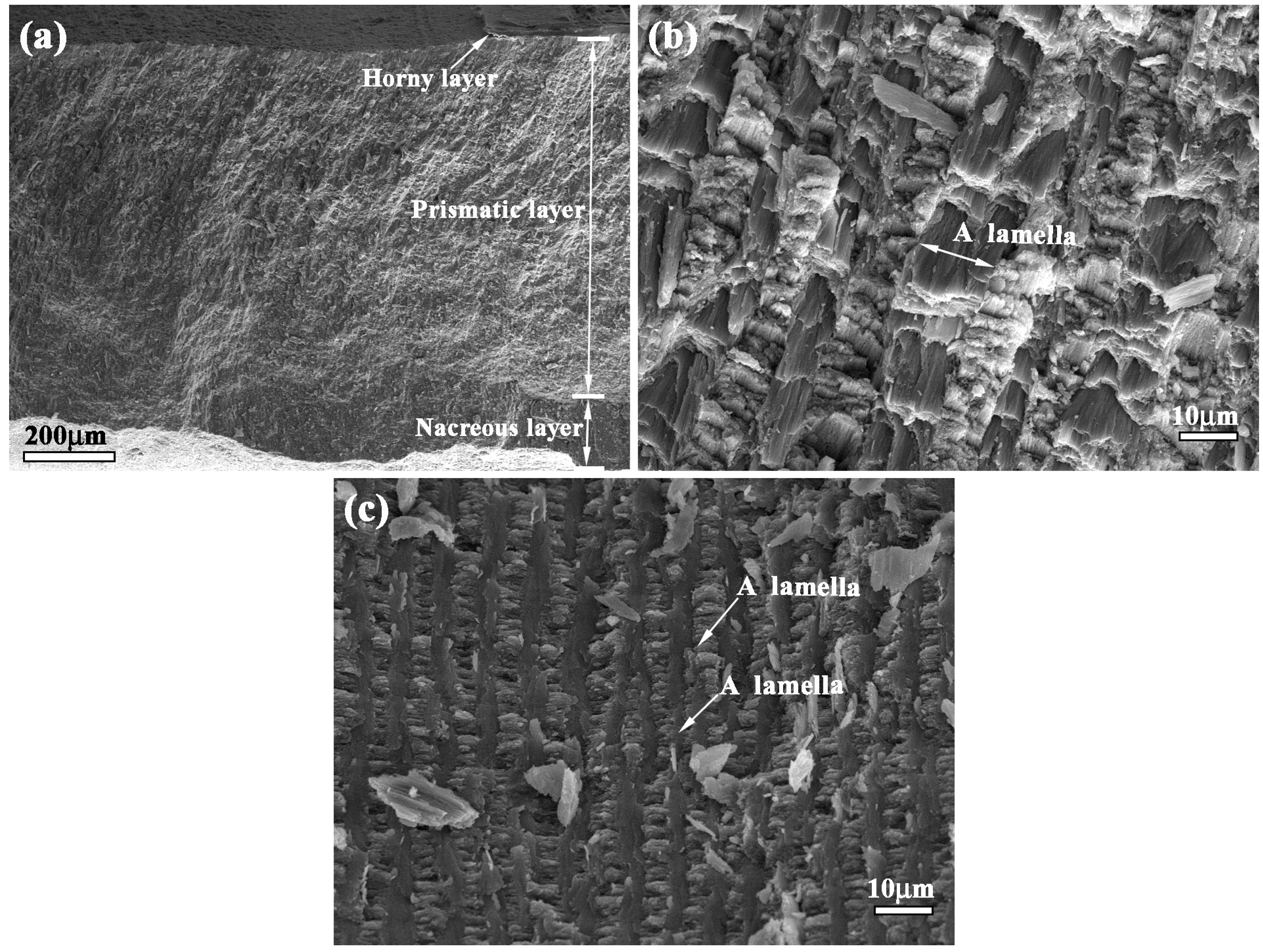 Materials 09 00708 g001
