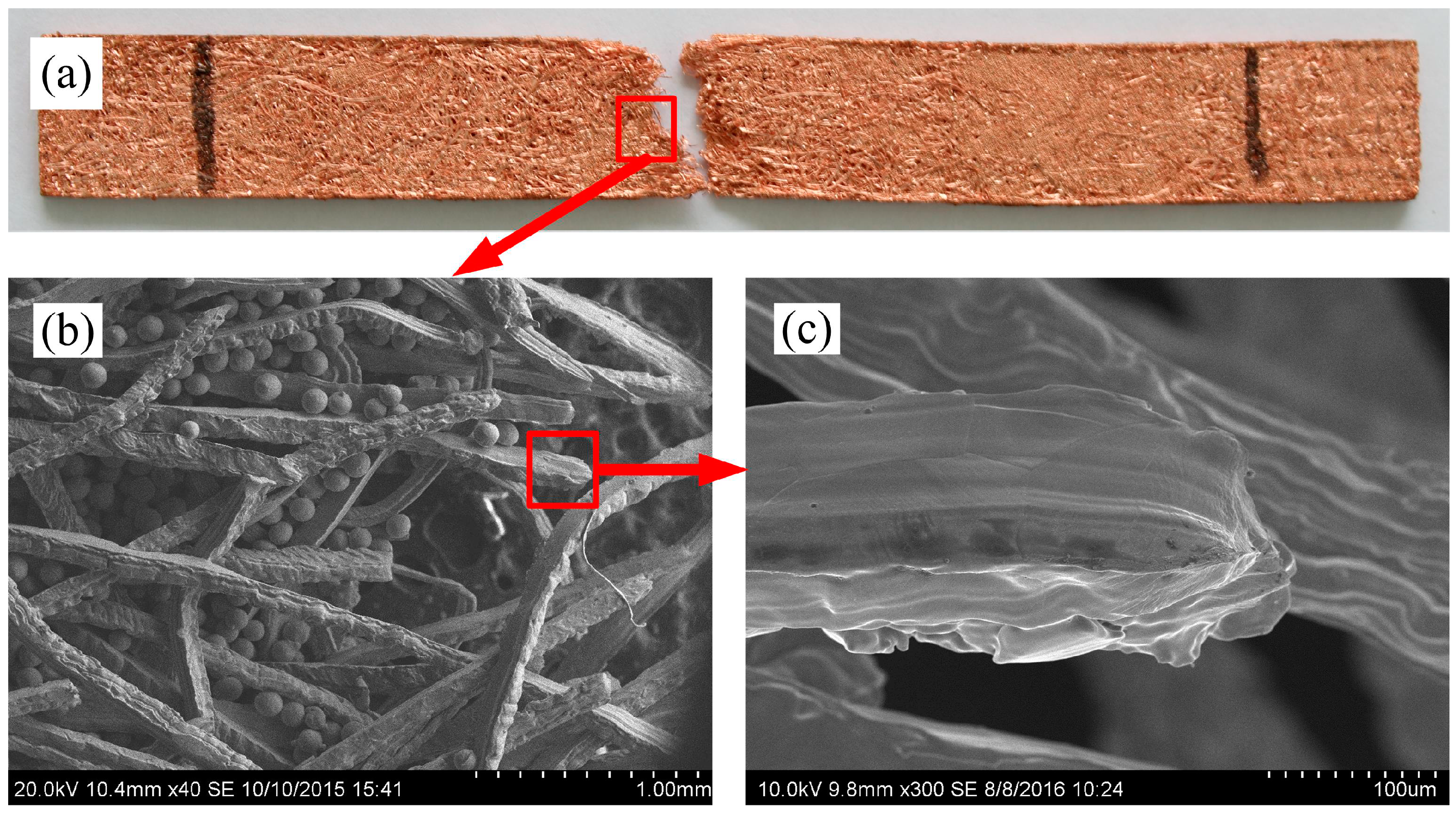 Materials 09 00712 g009